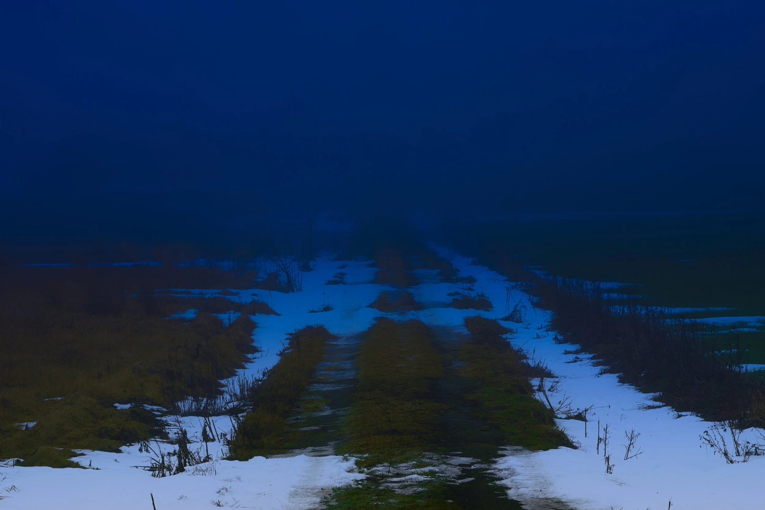 B0034416_2 Fading Path in Blue