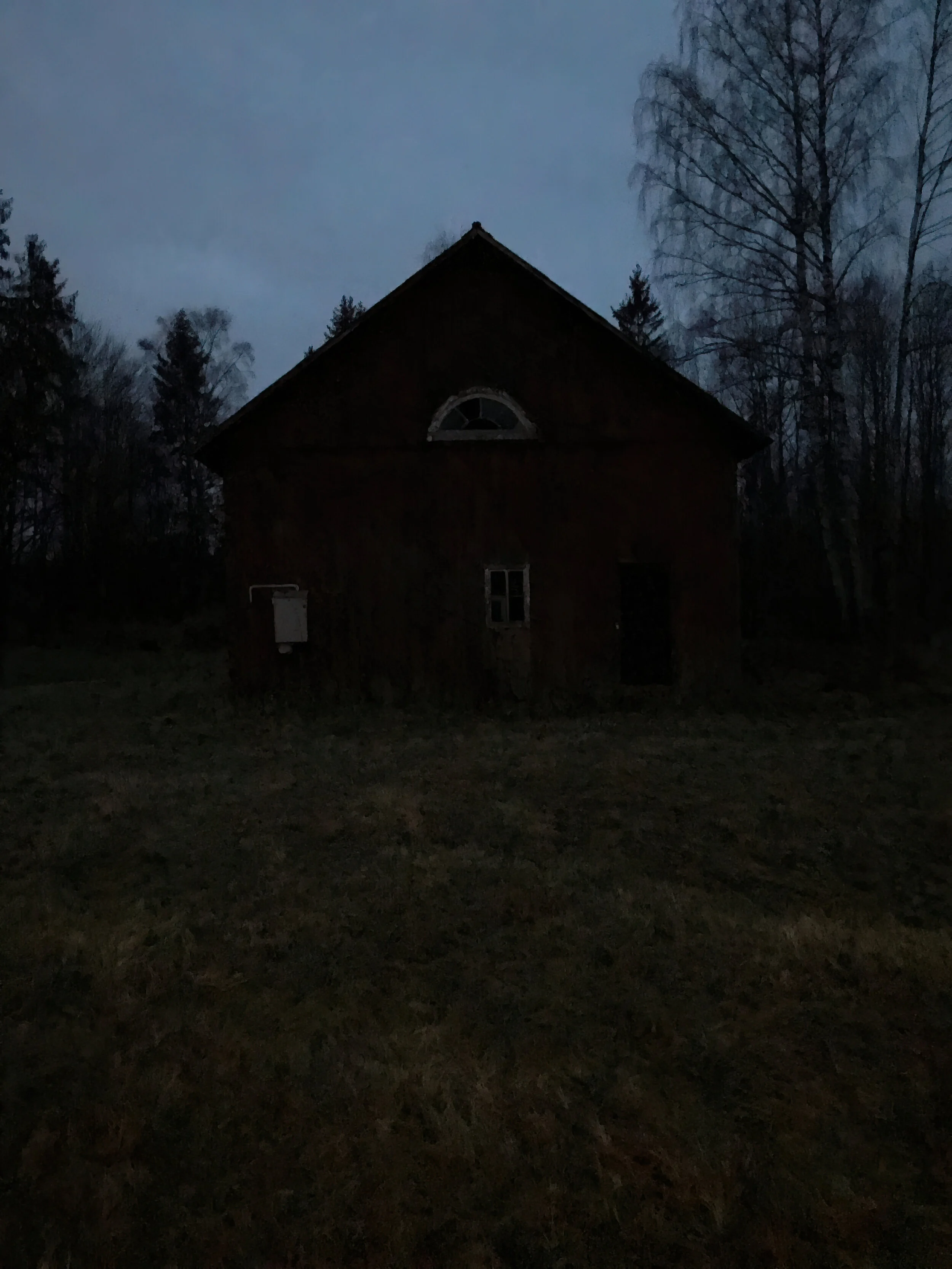 Krycklinge 2019-11-24 05-denoiselow-light_DxO.jpg