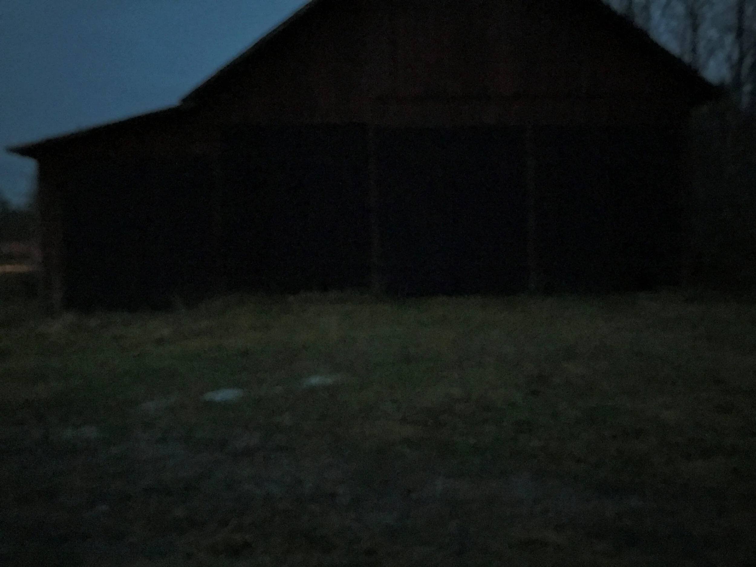 Krycklinge 2019-11-24 09_DxO.jpg