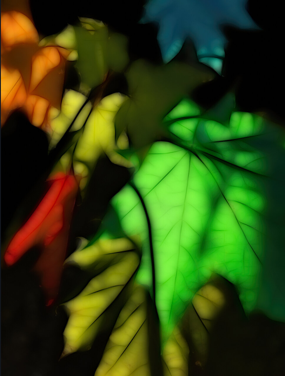 IMG_5858 etc från Topaz 2_DxO.jpg