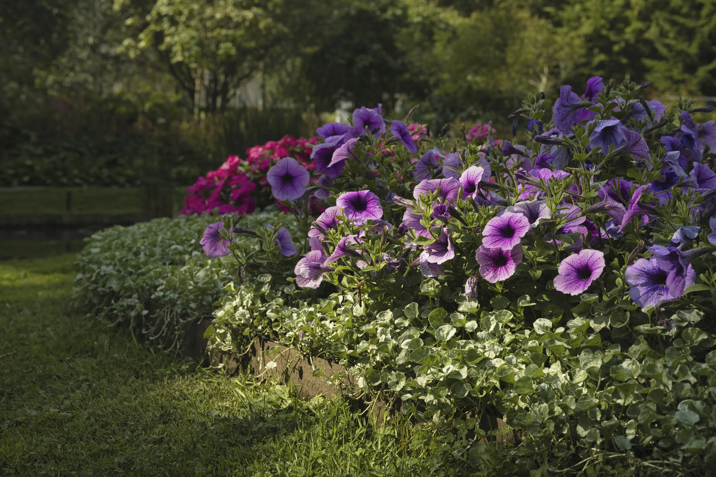 B0045807 Preview.jpg