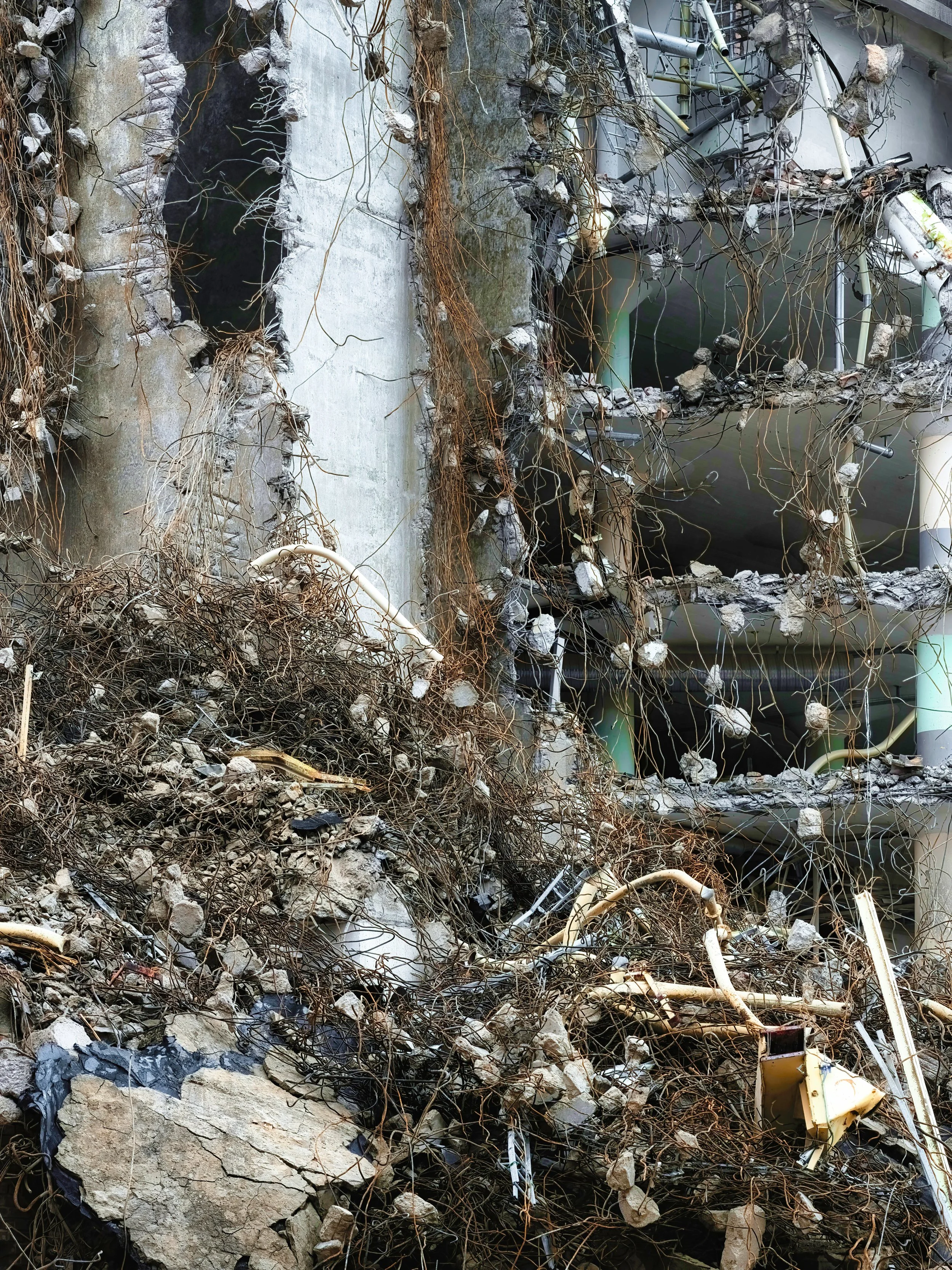 B0012751 Hairy Rebar and Stones Arise