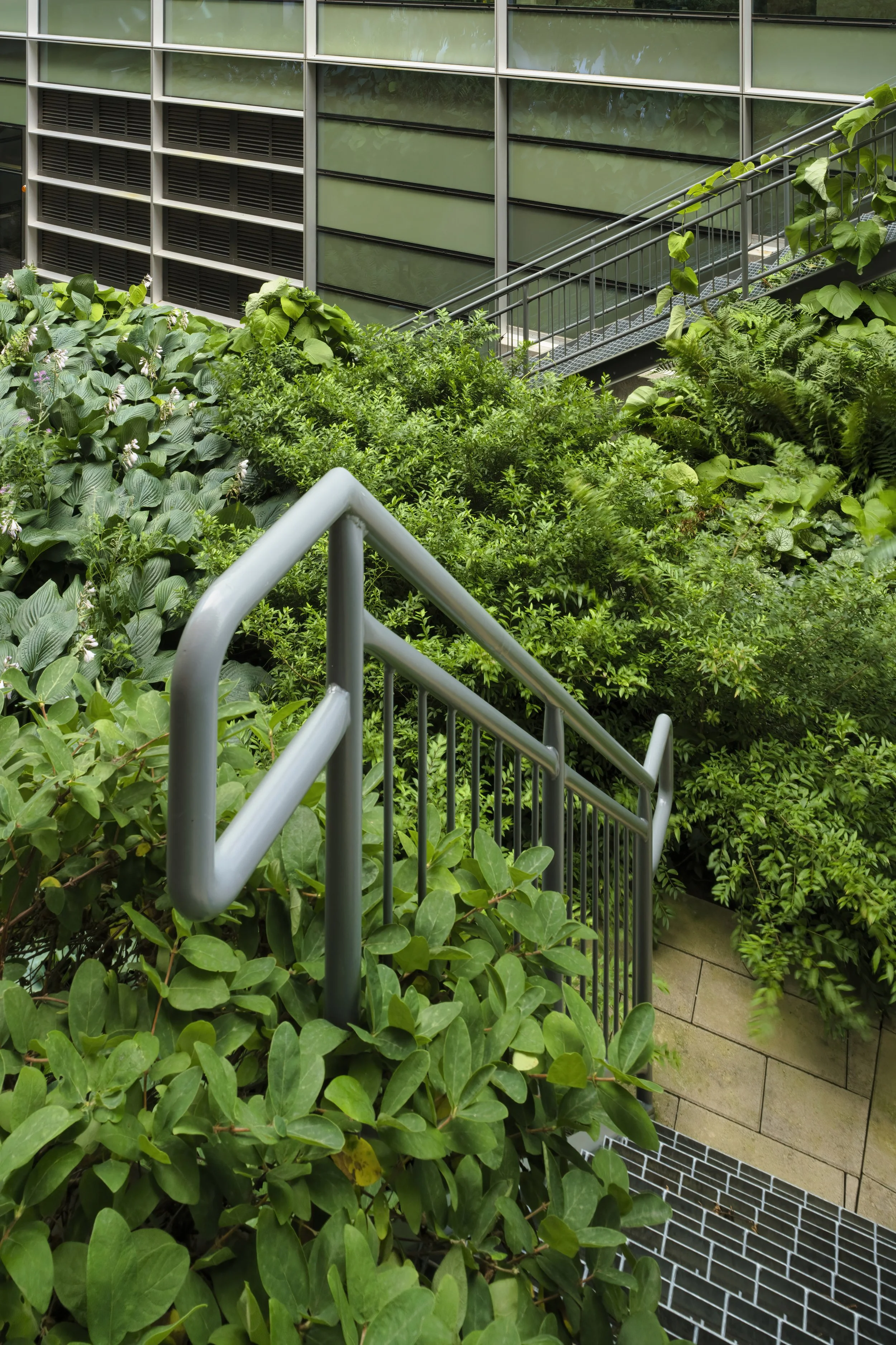 B0043575 Preview.jpg