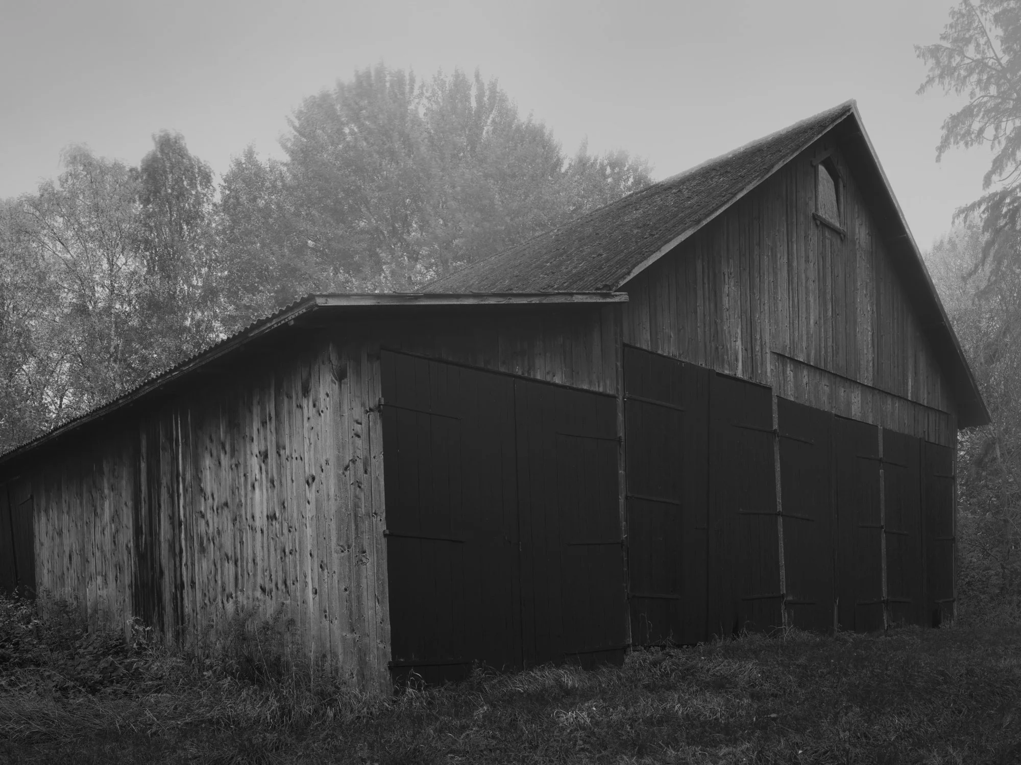 B0032121_2 Krycklinge 7