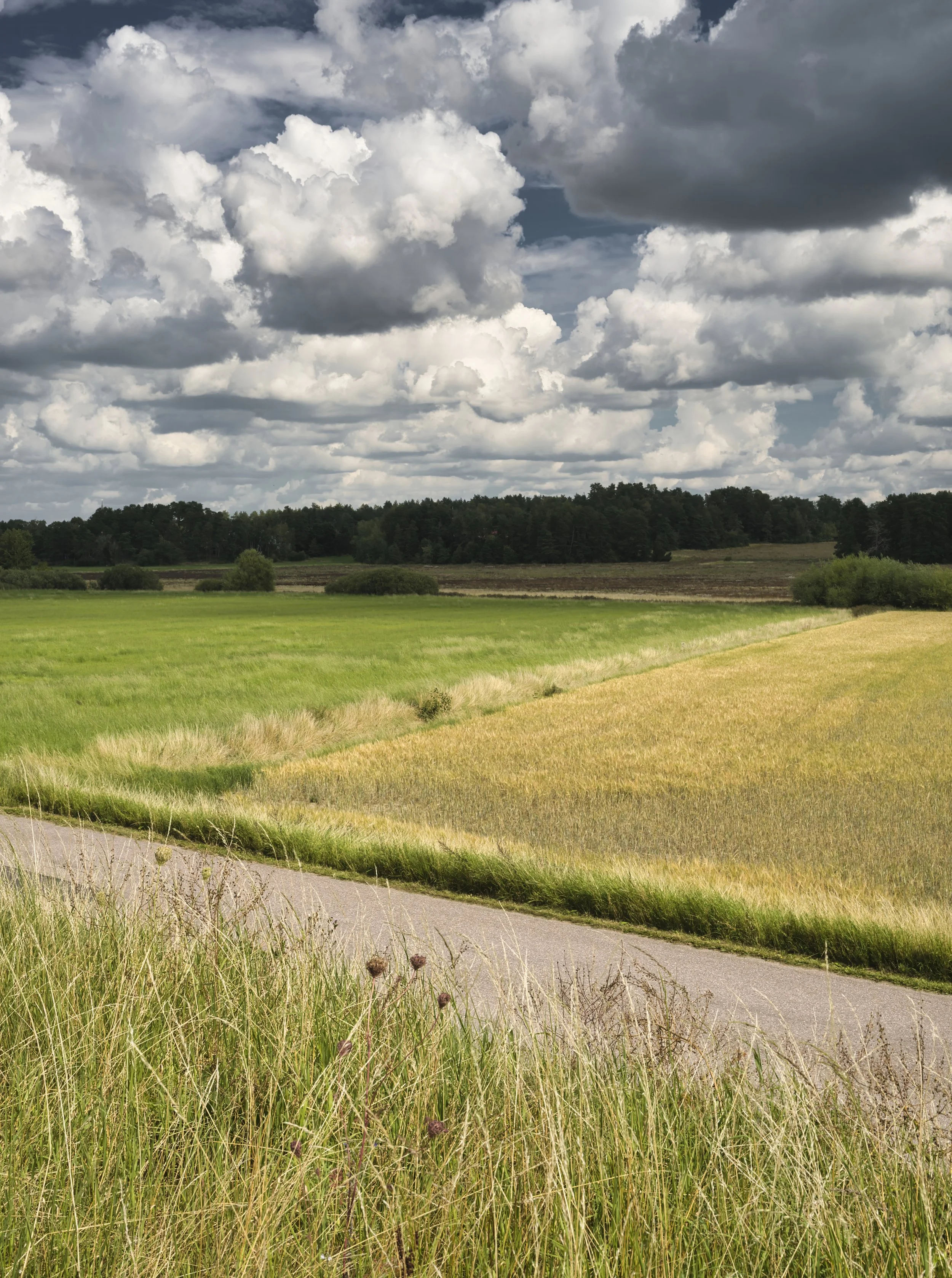 B0029312 Grass Road Field Ditch Forest Clouds