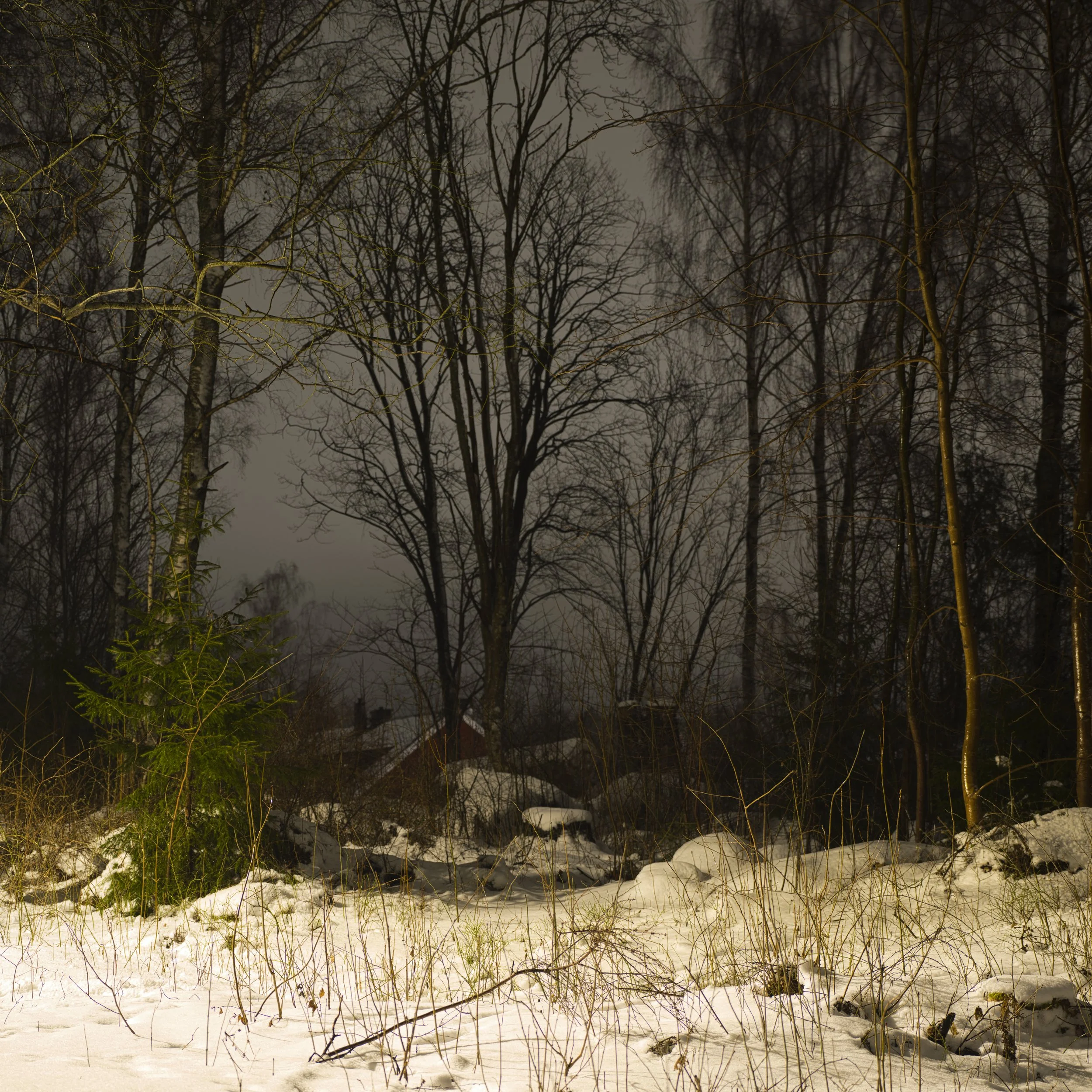 B0001814 Residential Park under Brown Sky