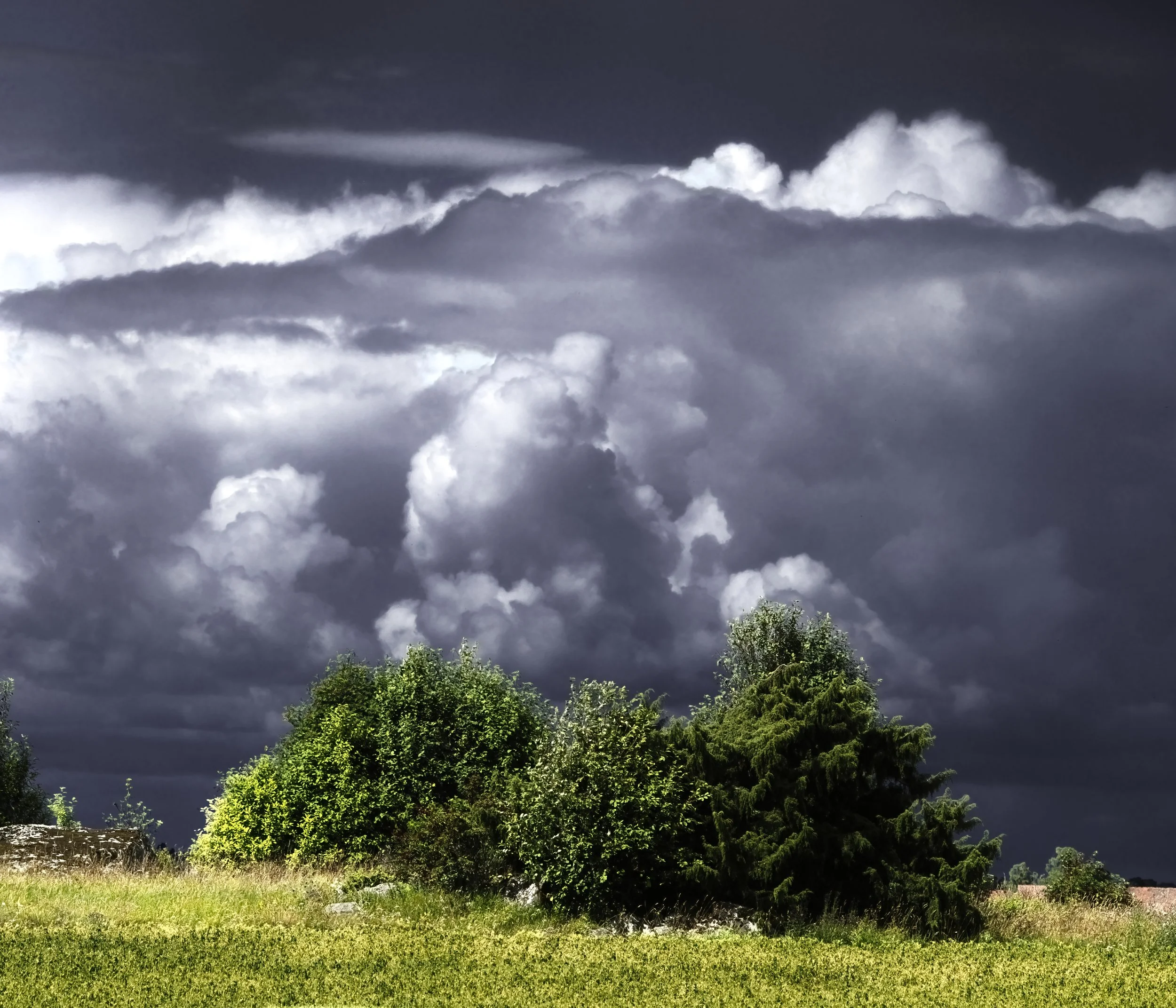 B0012174 Group of Clouds and Brushes