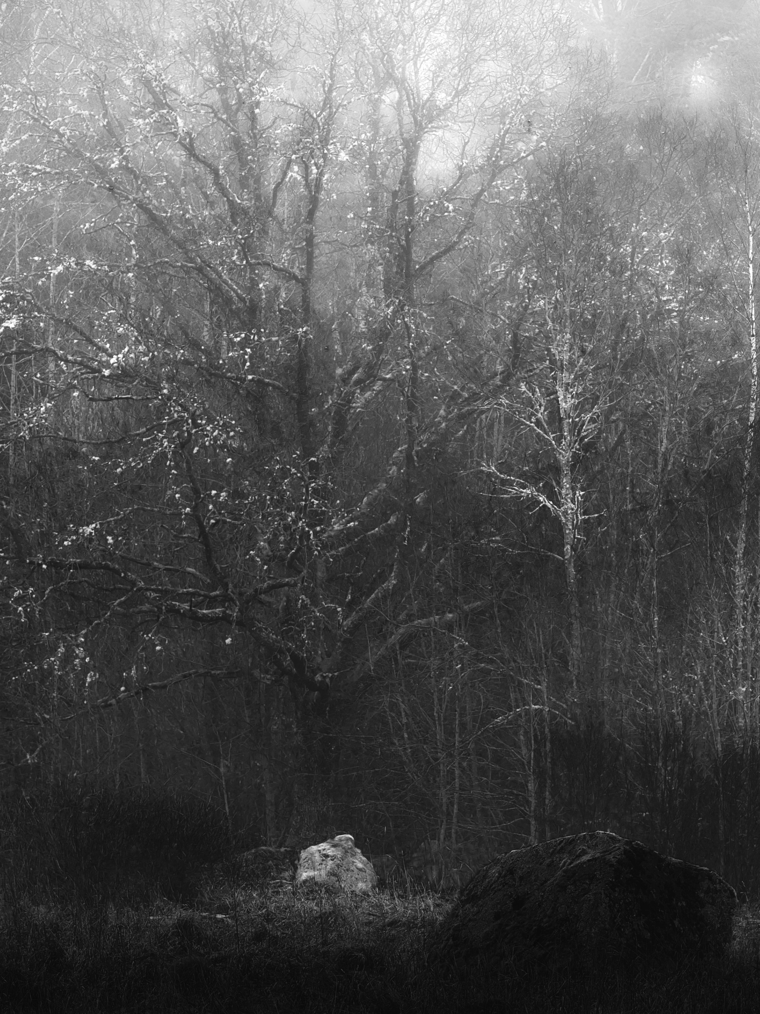 B0035584 The Protected Stone