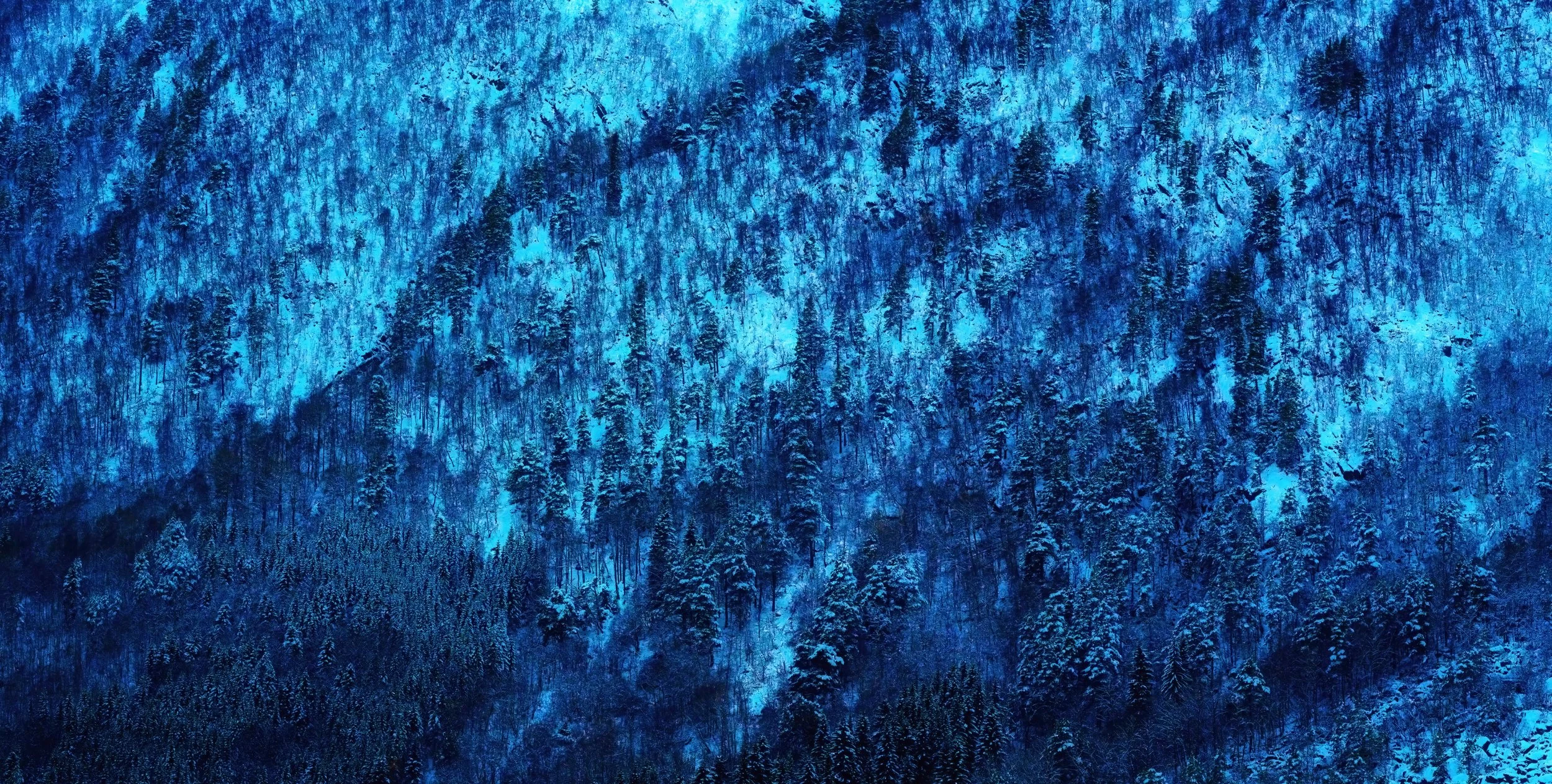 B0018458 Trees on Blue Slope