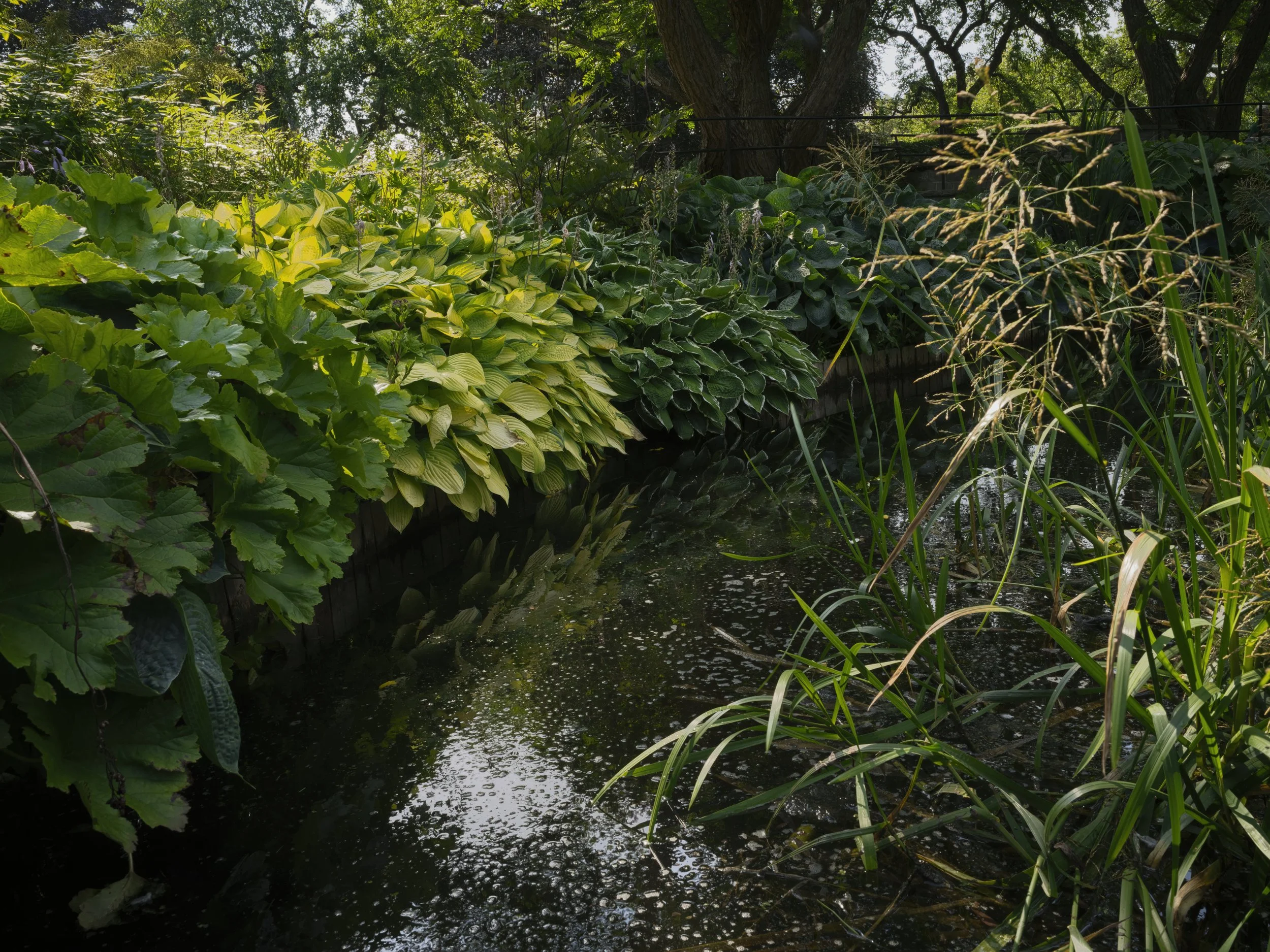 B0045810 Preview.jpg