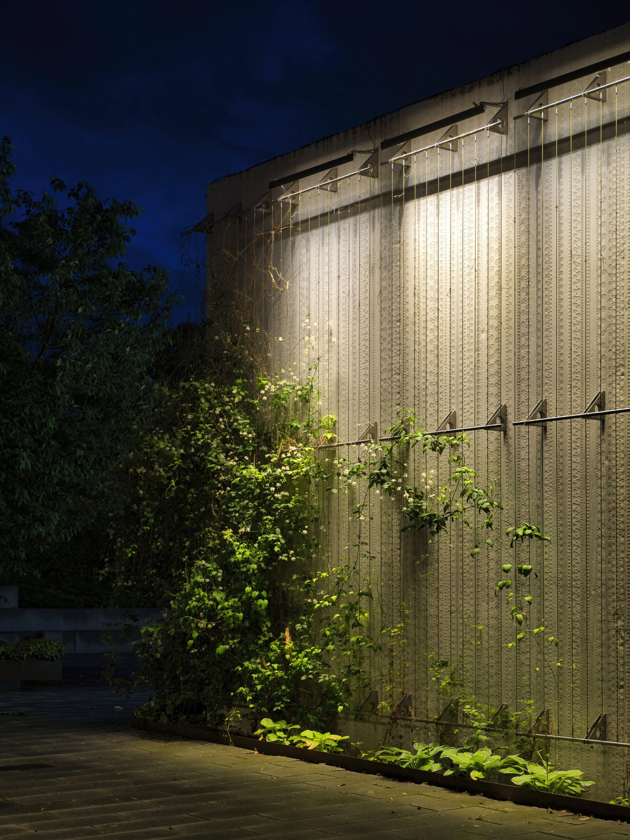 B0047385 Preview.jpg