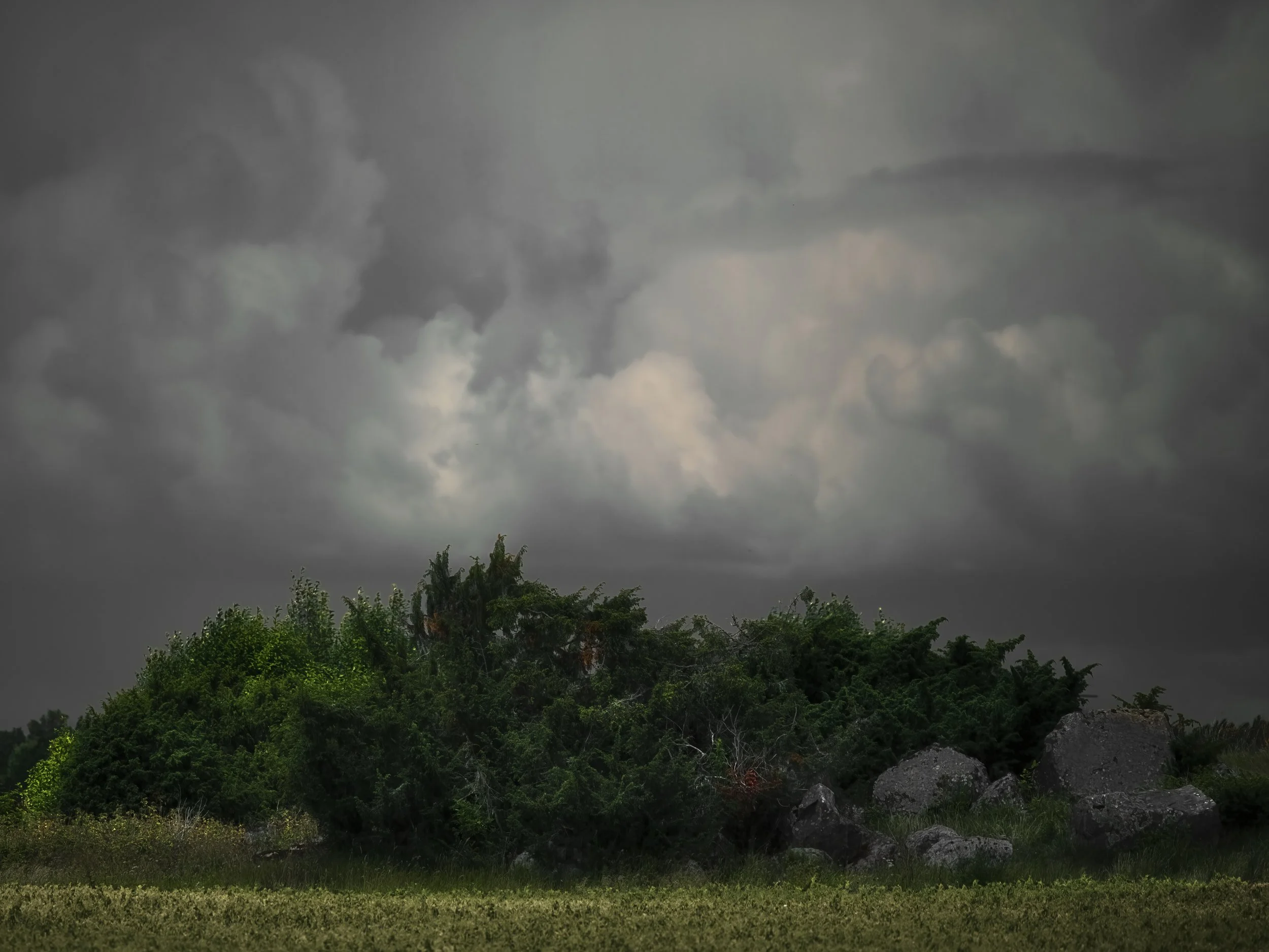 B0012184 Junipers Stones under  Gloomy Sky