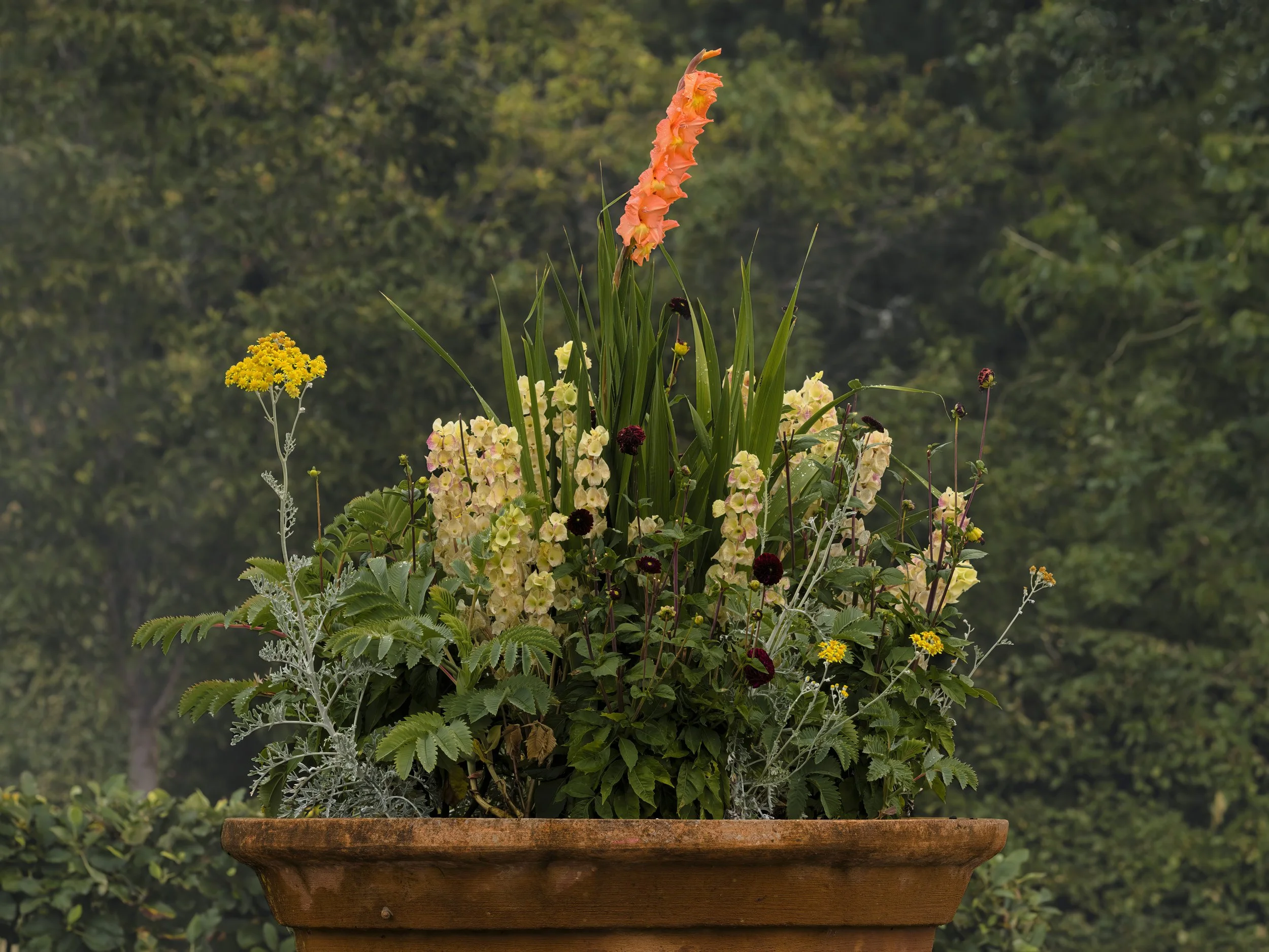 B0047790 Preview.jpg