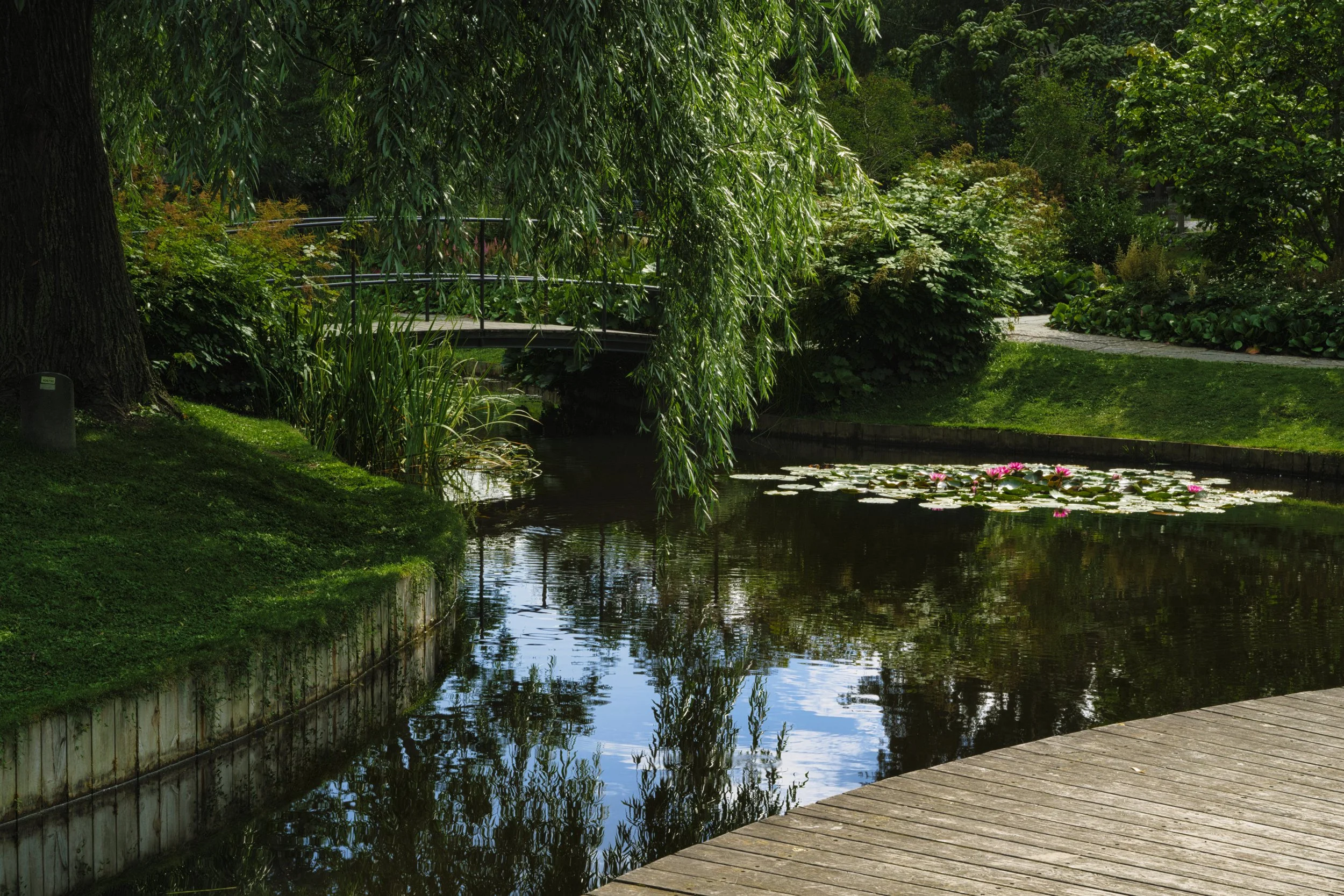 B0045319 Preview.jpg