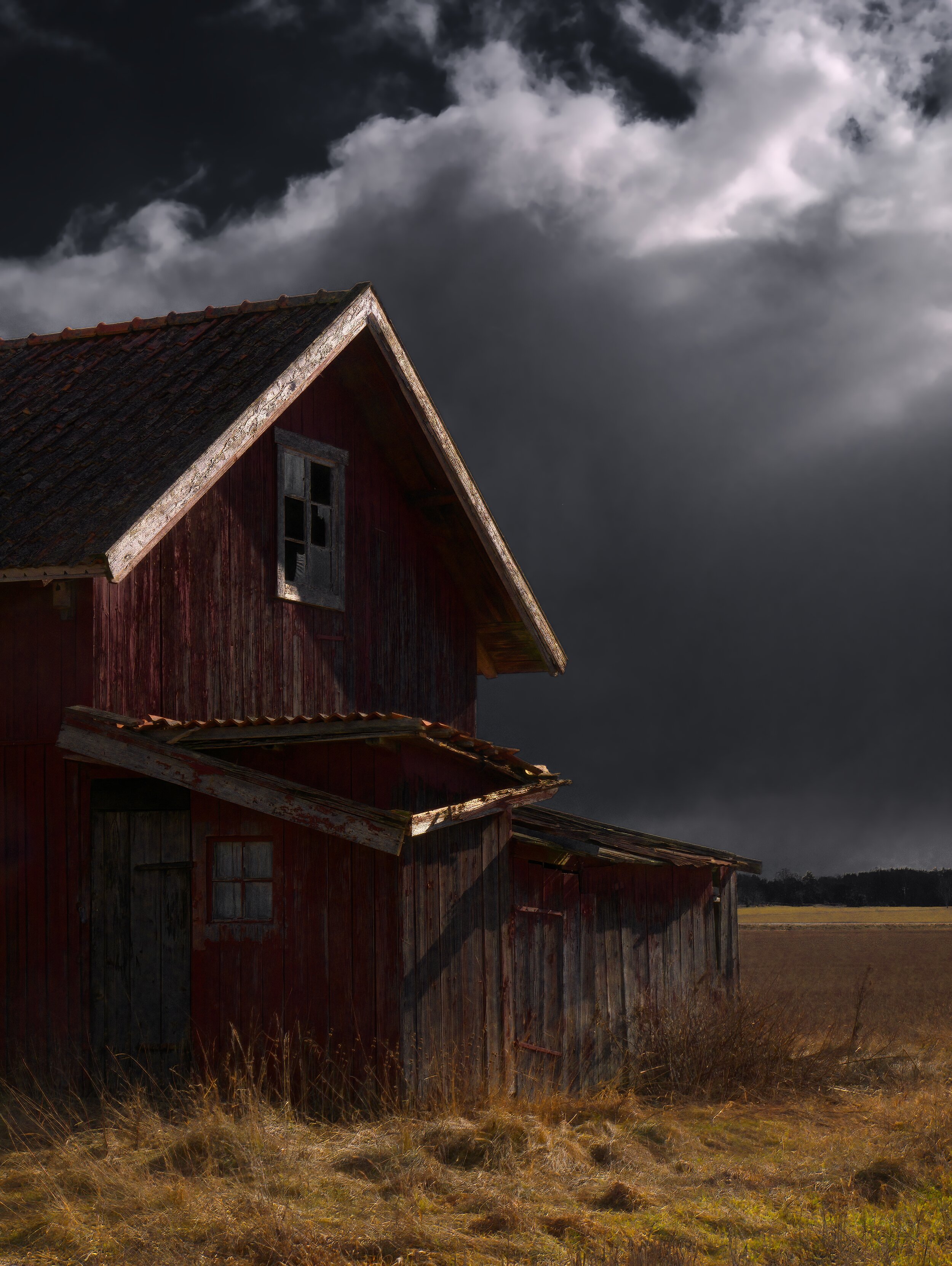 _1120730-denoise-denoise-sharpen-softness_Luminar 02.jpg