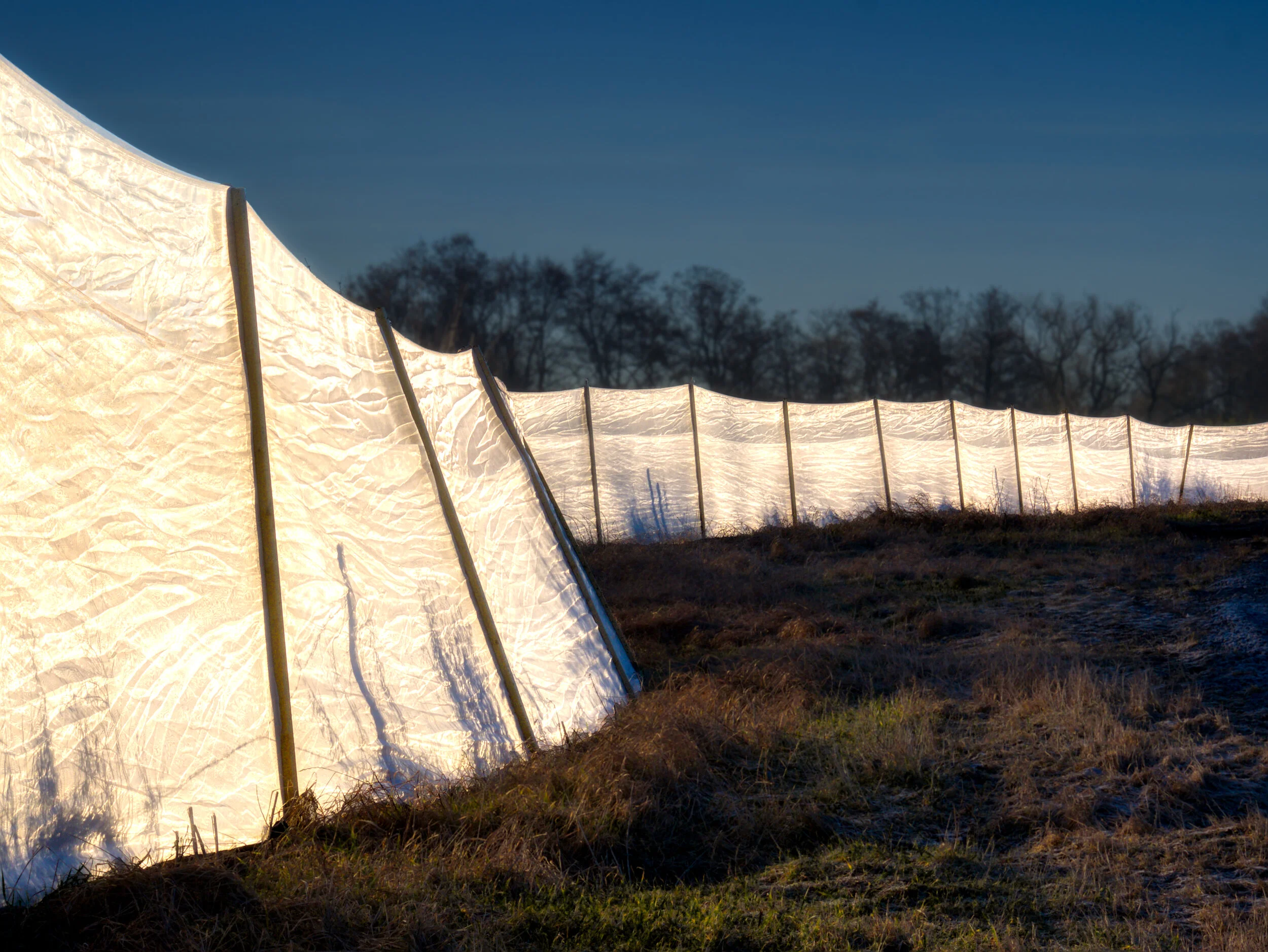 _1110953_Affinity Photo_Luminar.jpg