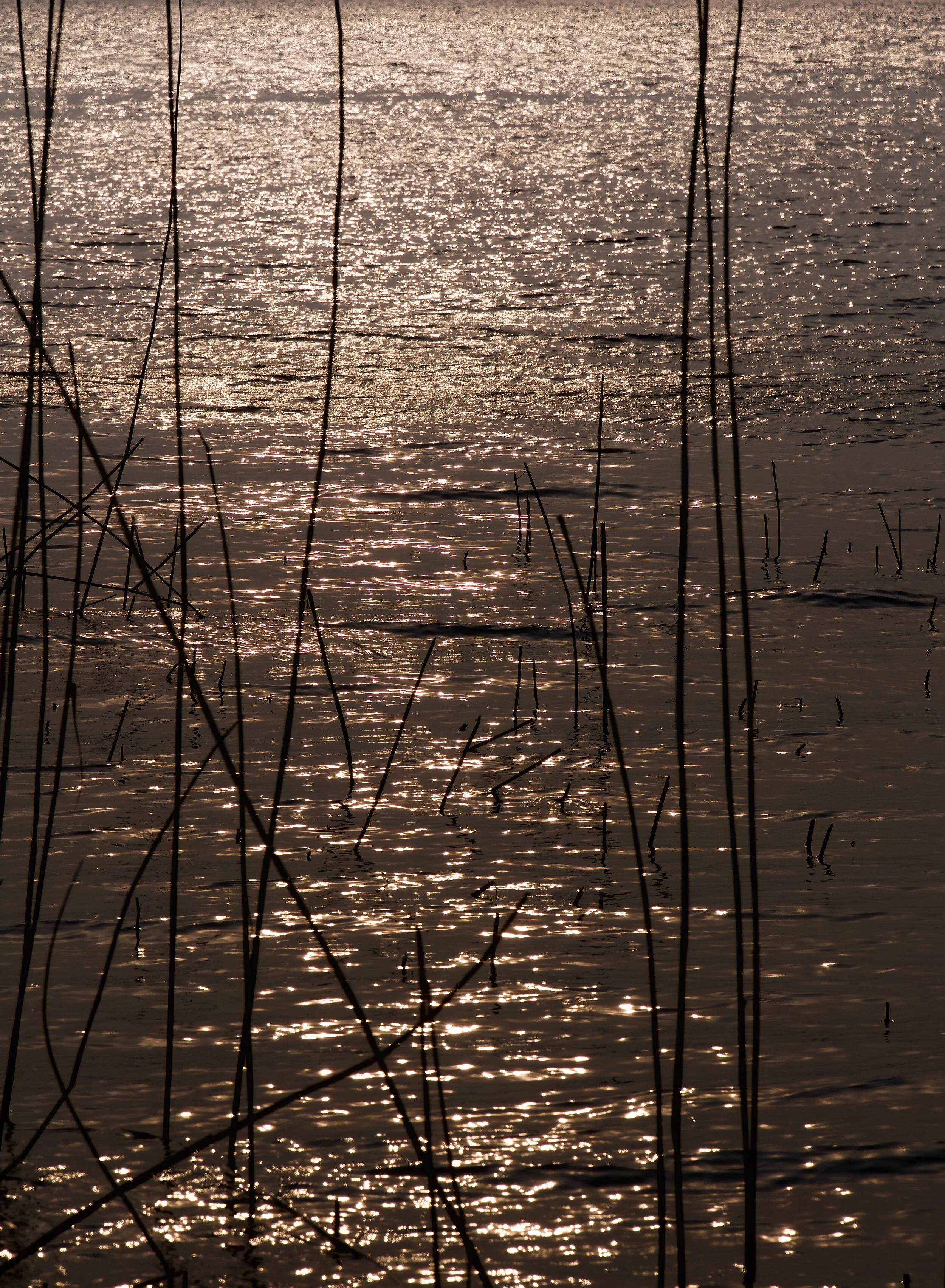 _1130228-denoise-denoise-sharpen-softness_Luminar.jpg