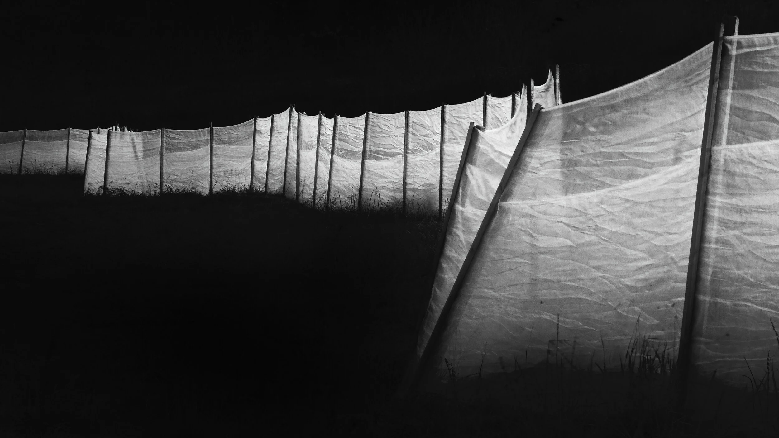 _1110855-denoise-denoise_Luminar 02.jpg