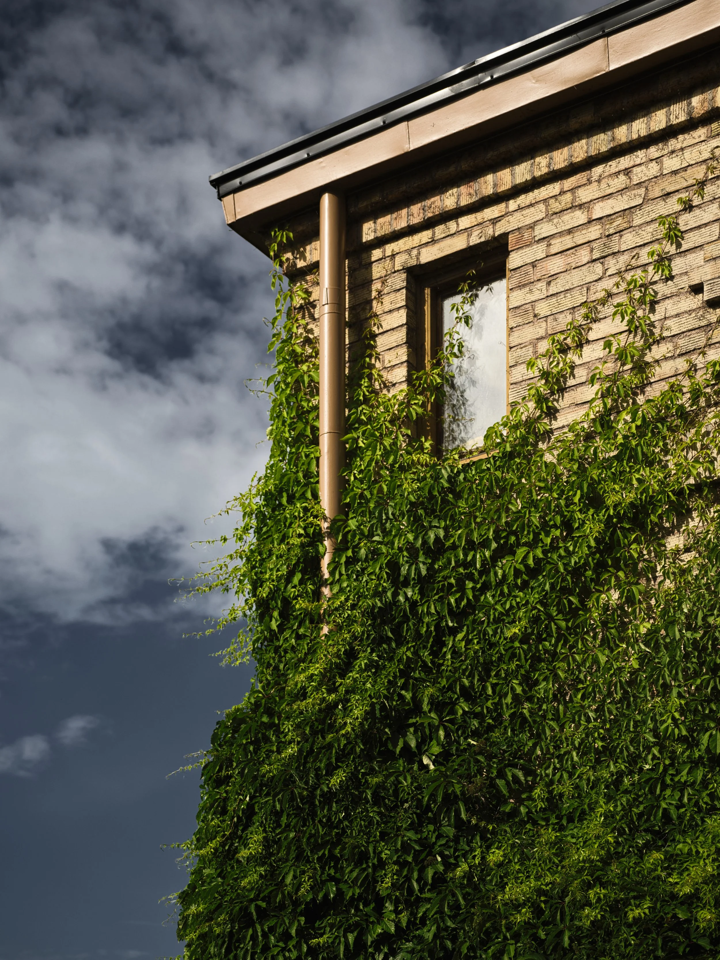 B0041884 preview.jpg