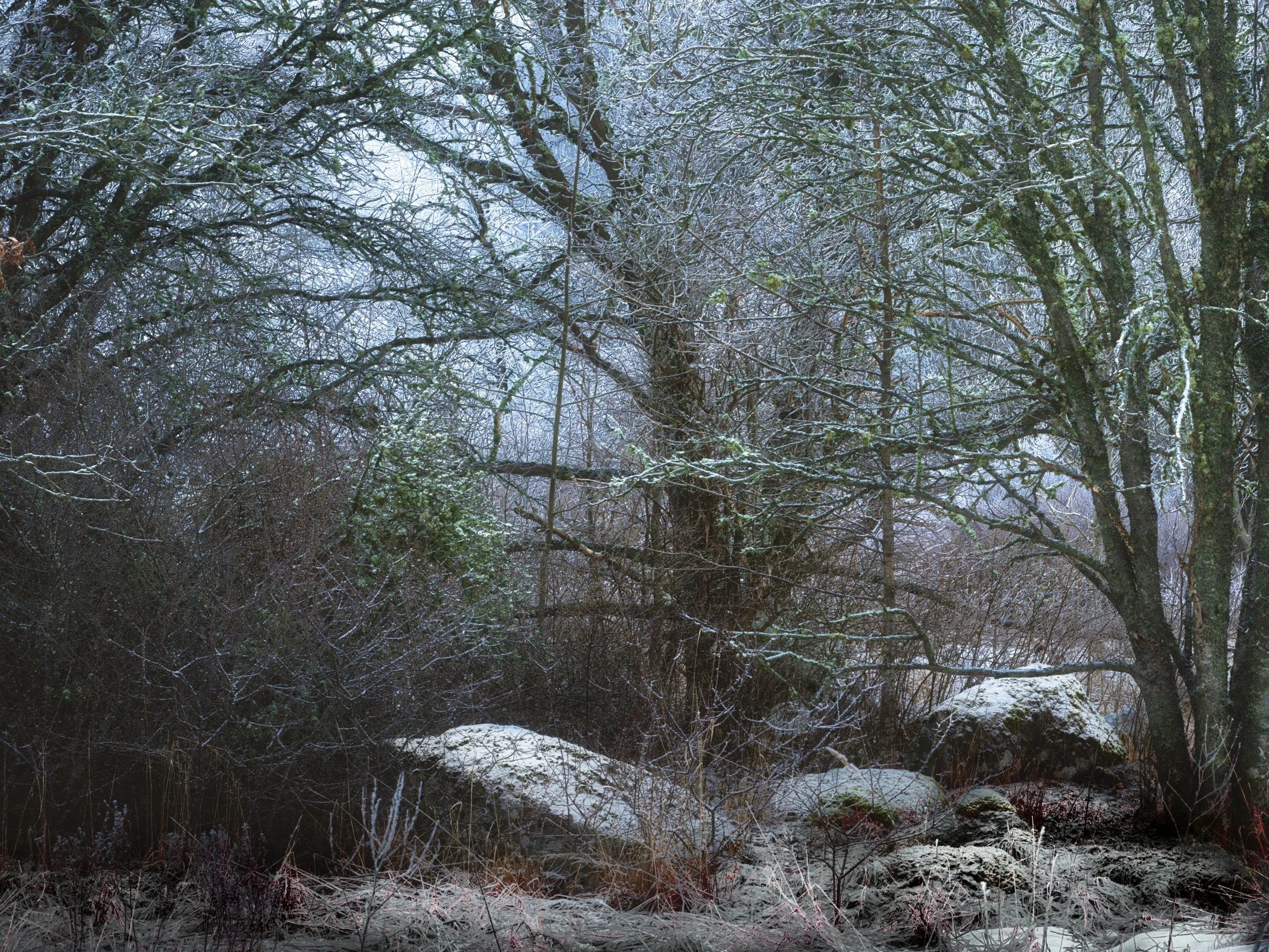 B0035454_3 Stones Branches Twigs and Twigs