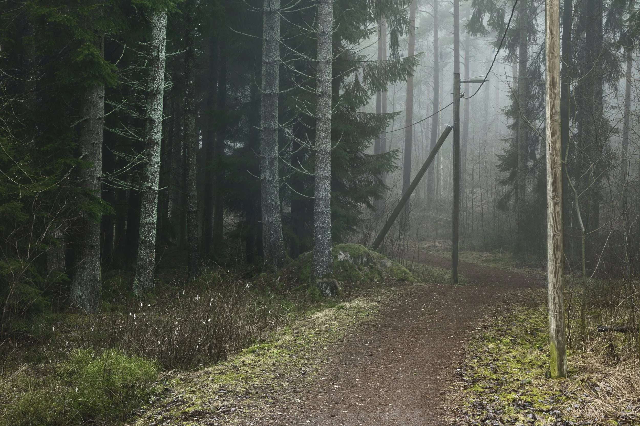 B0035005 Excersice trail in Green