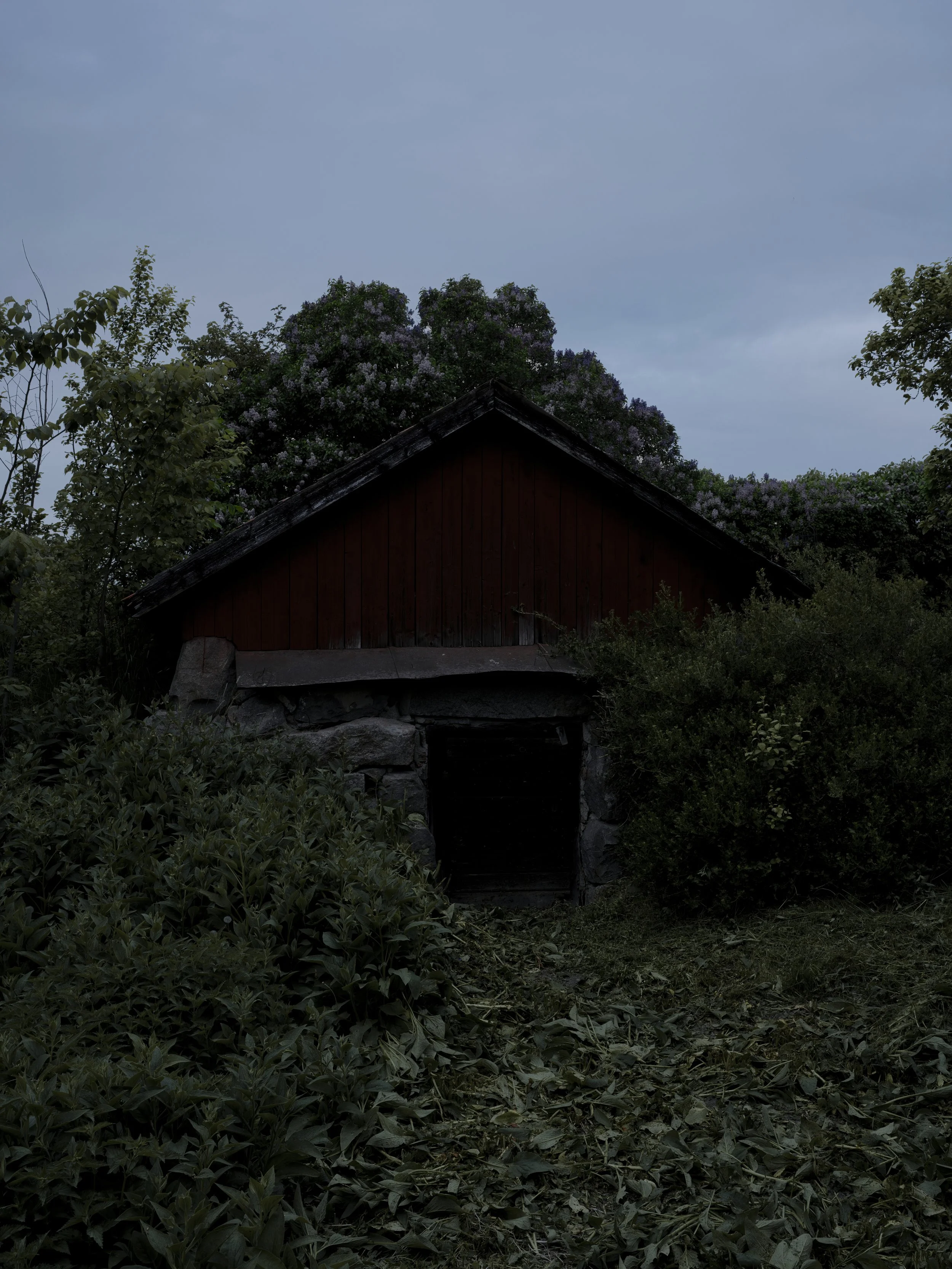 B0006563 Door to Earthen Cellar