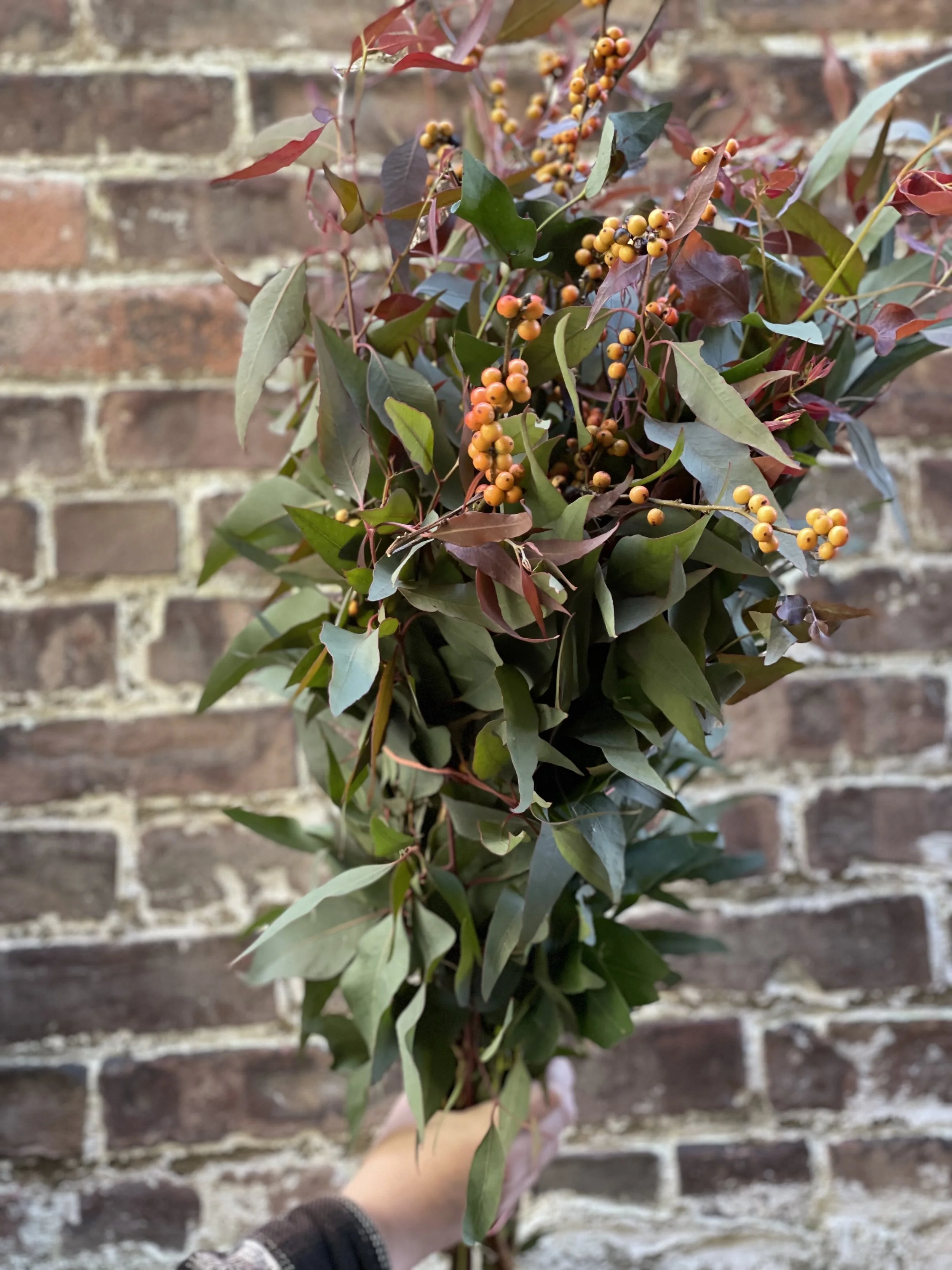 winterberry and eucalyptus.jpg