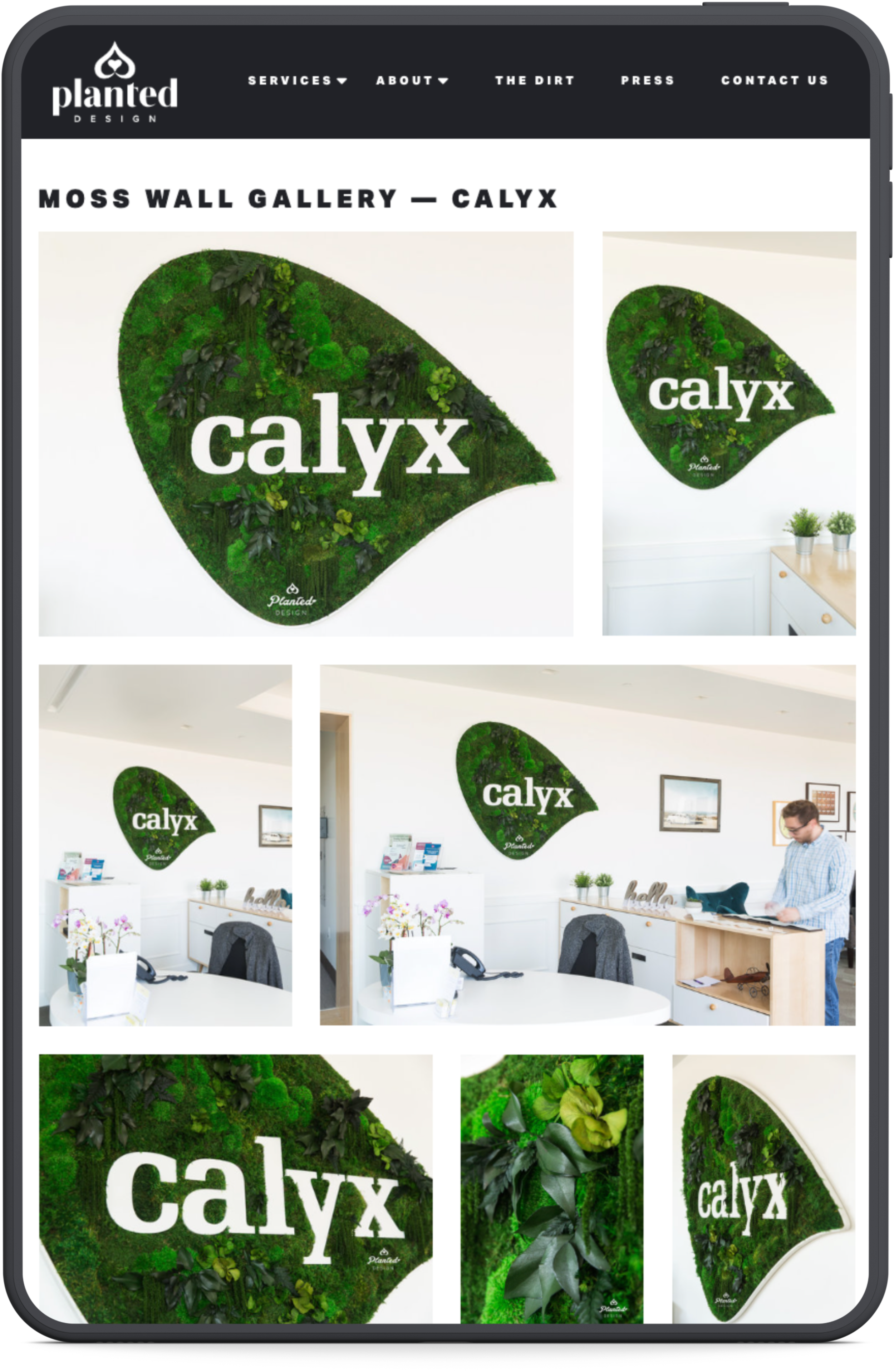 ©johnfelixshaw_planted-design-calyx-san-francisco.png