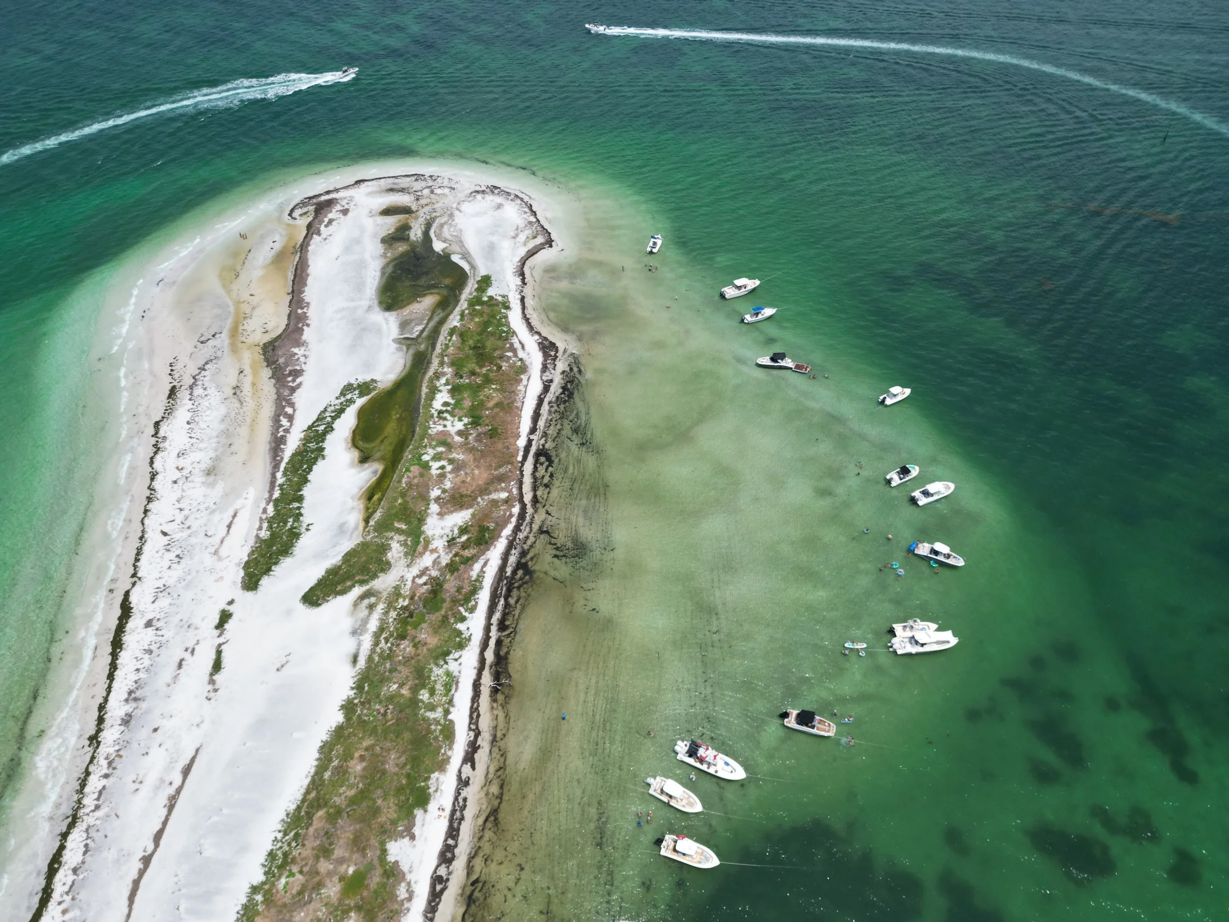 ISLAND SHELL CHARTERS TARPON SPRINGS FLORIDA