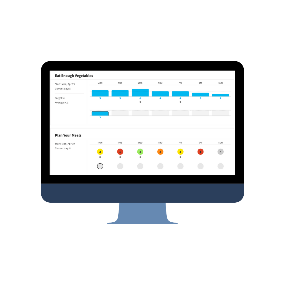Strong and Empowered Transformation Program computer mockup
