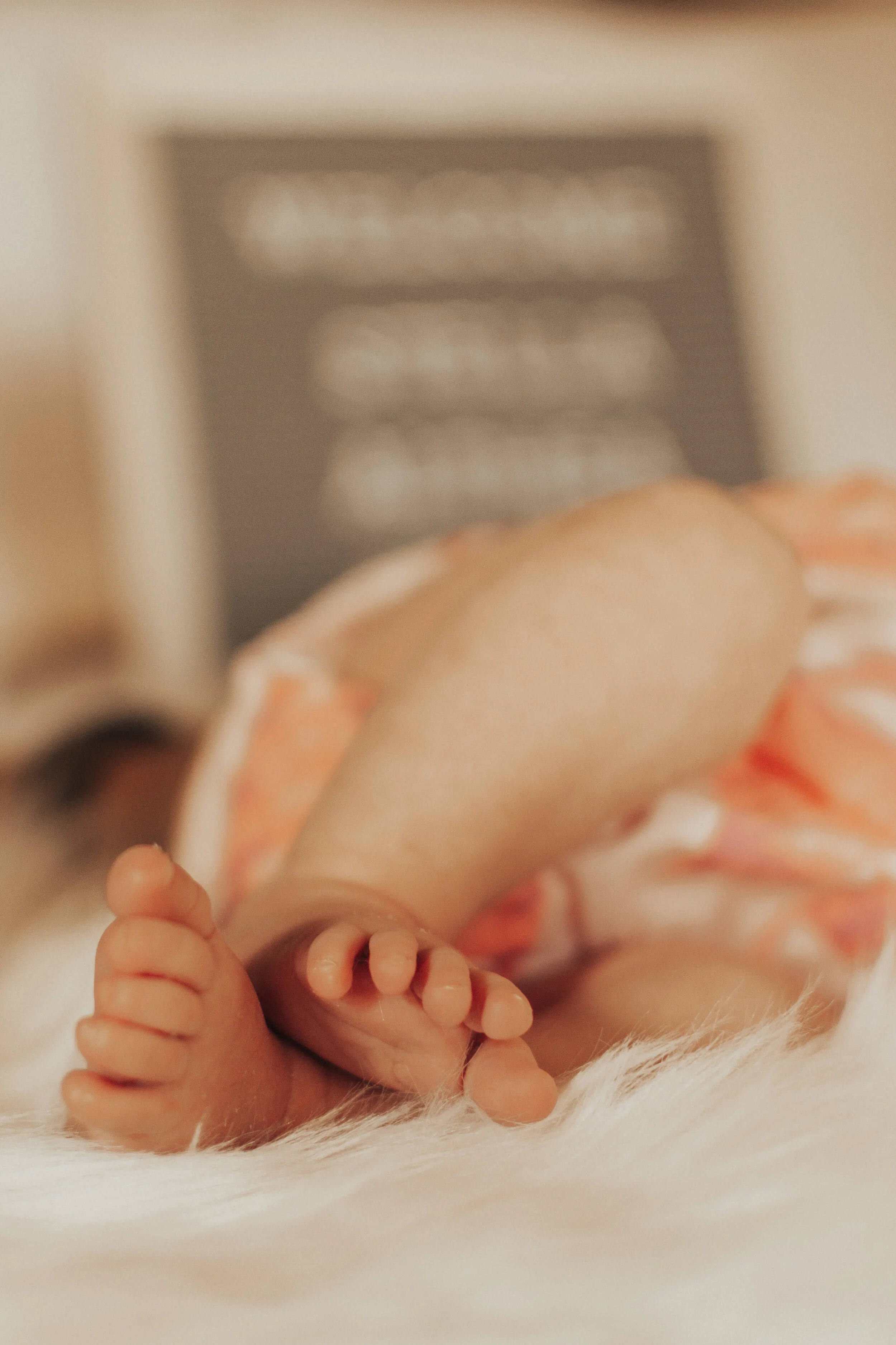 Family Session - Lifestyle Newborn Session - - Motherhood Session - Newborn Photography