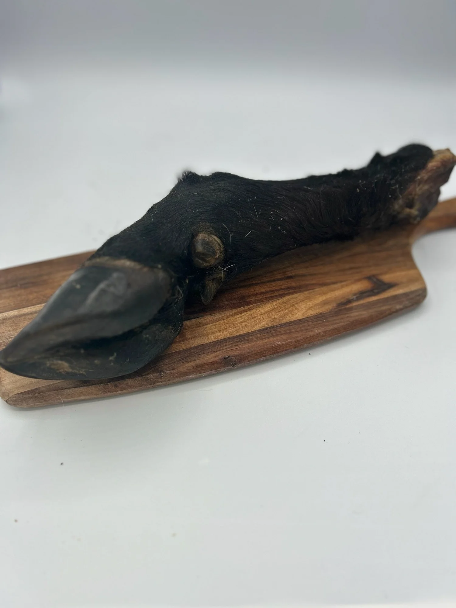 beef trotter 1.jpg