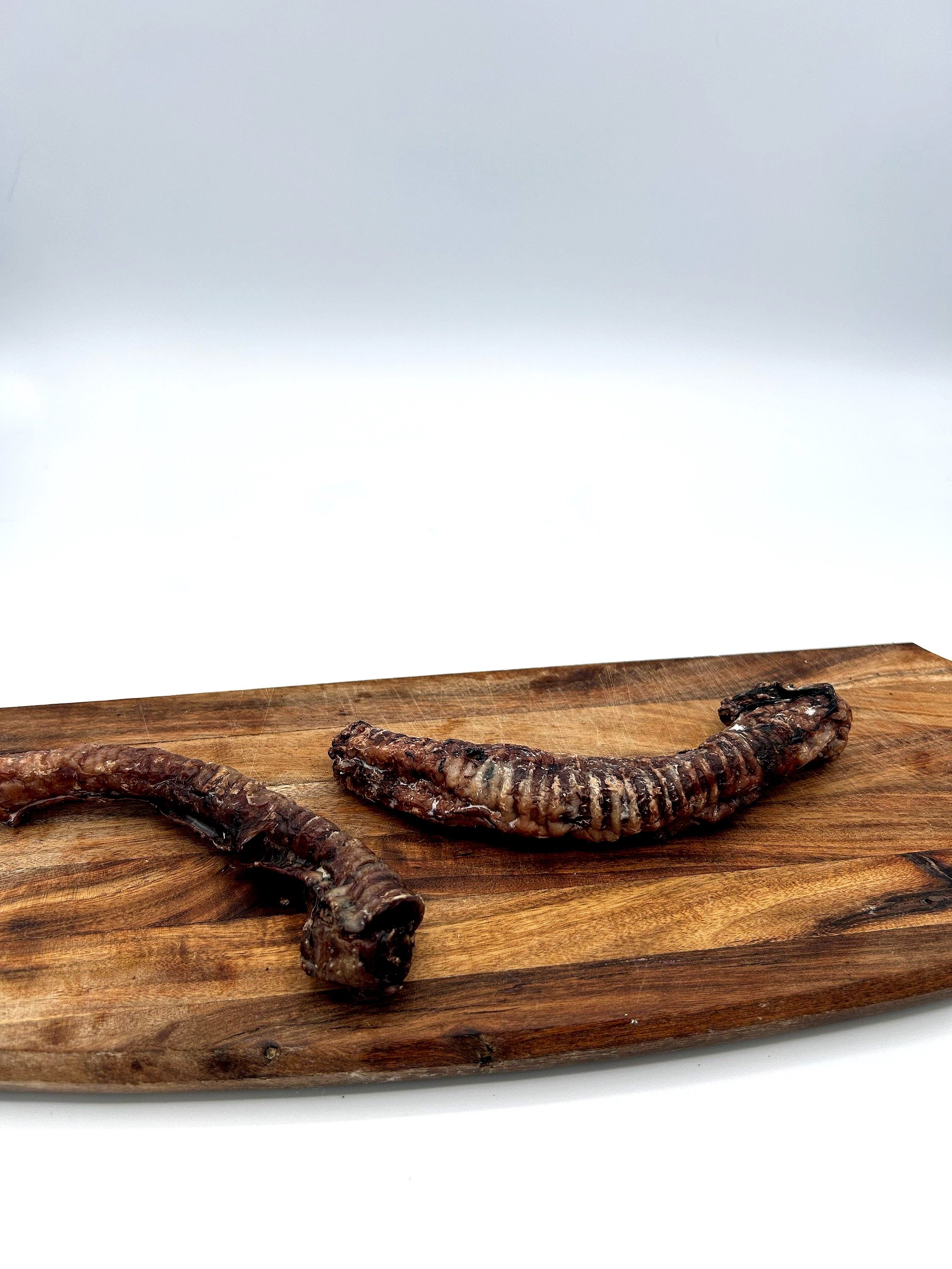 LAMB+TRACHEA.jpg