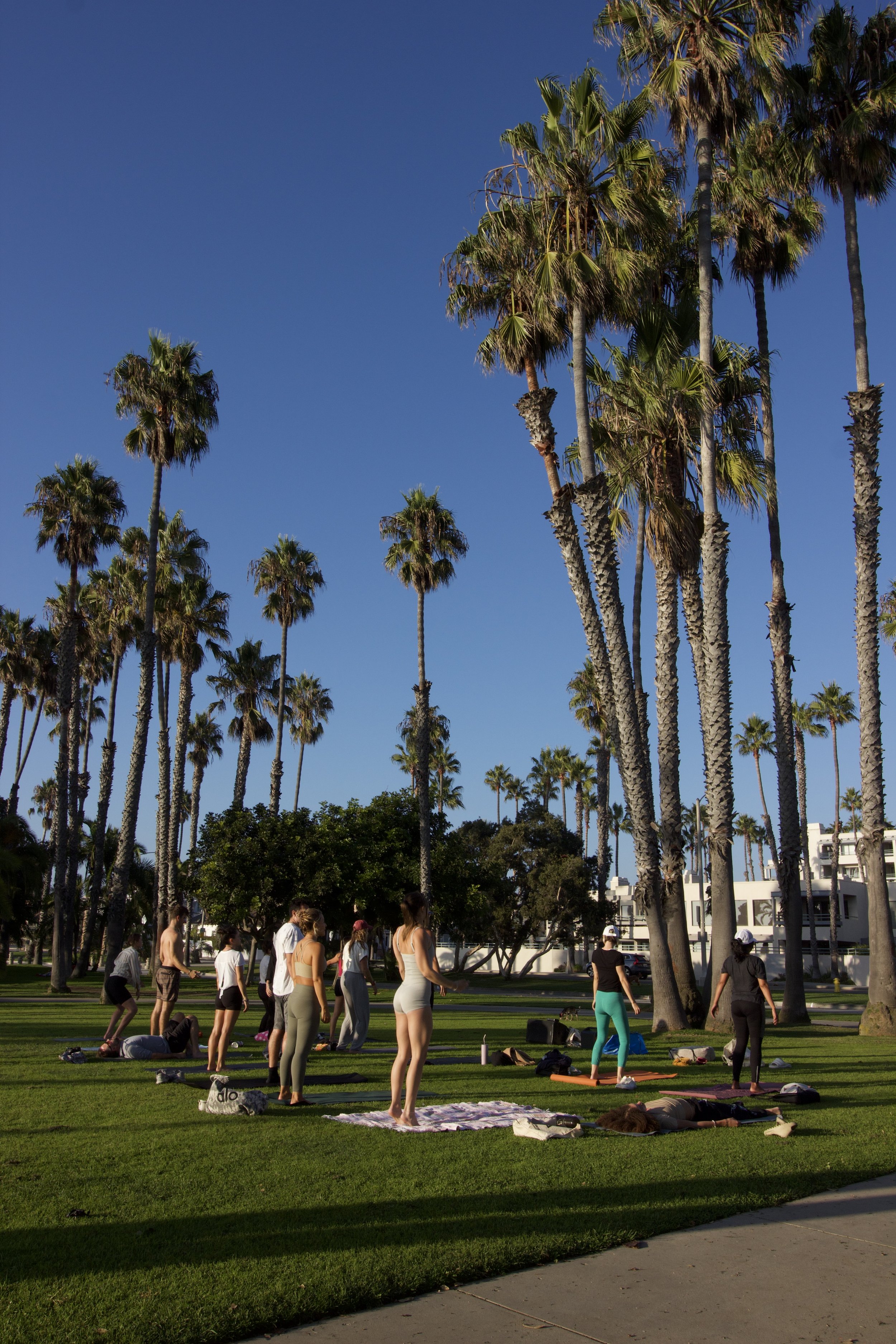 Yoga in the Park