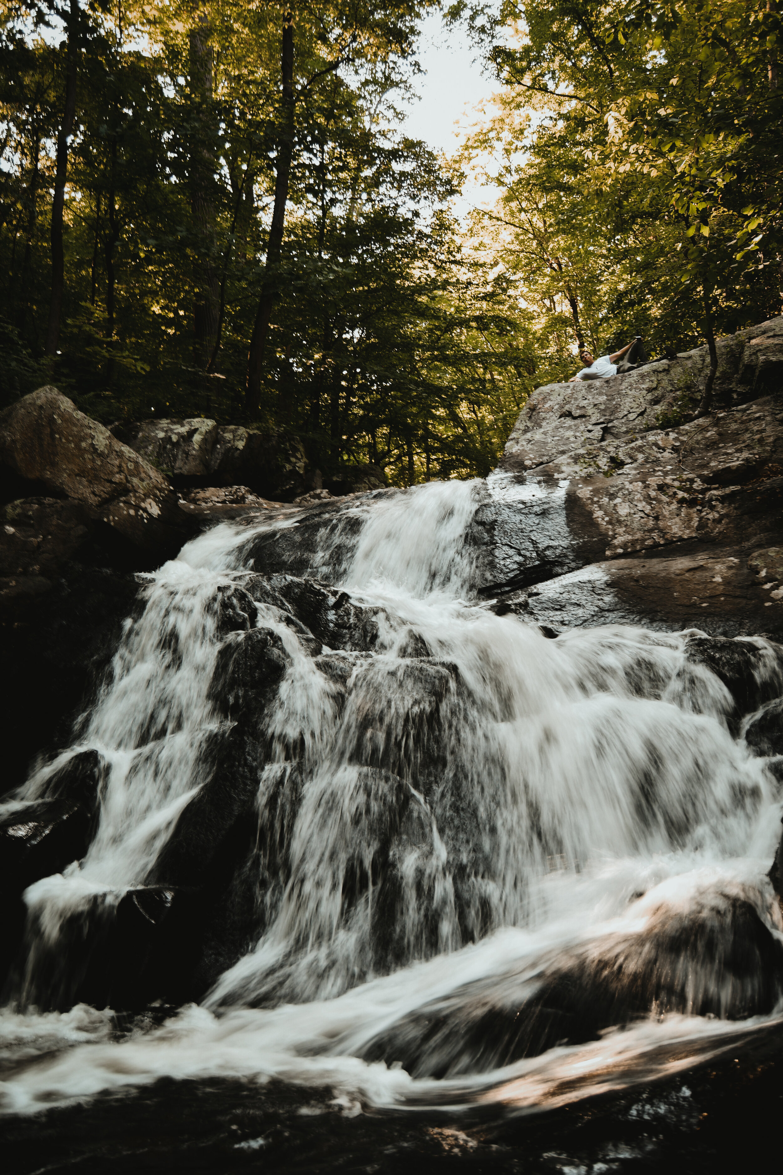 20190727-DSC_6081.jpg