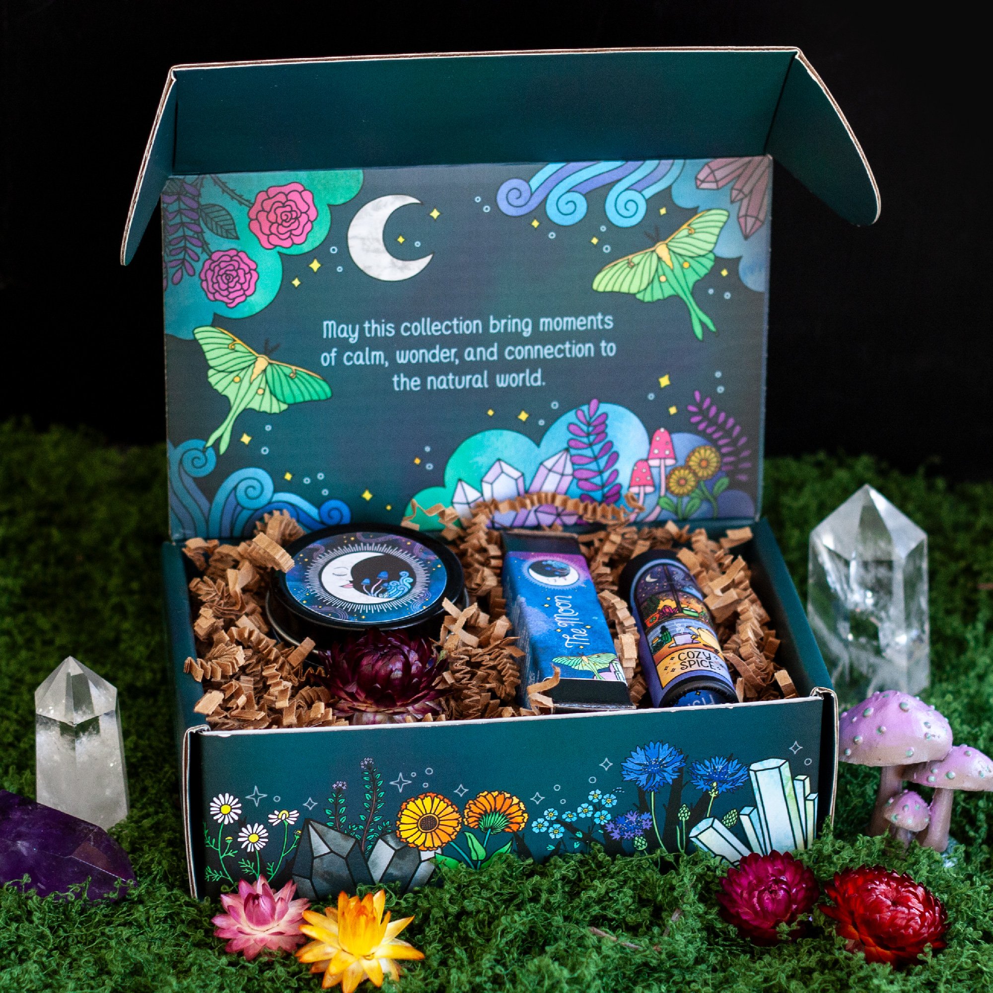 plant-magic-gift-box-moon-1.jpg