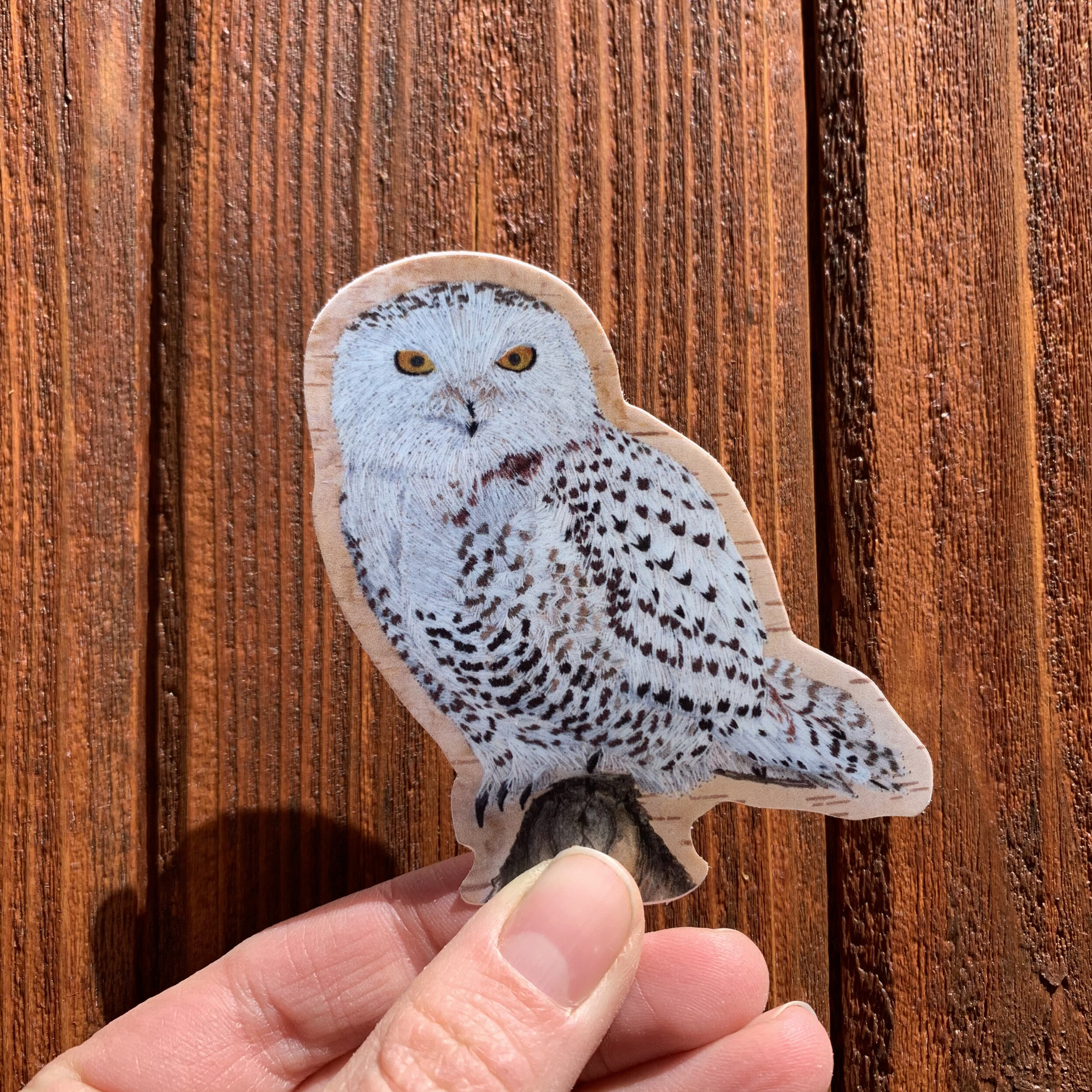 snowyowl2.jpg