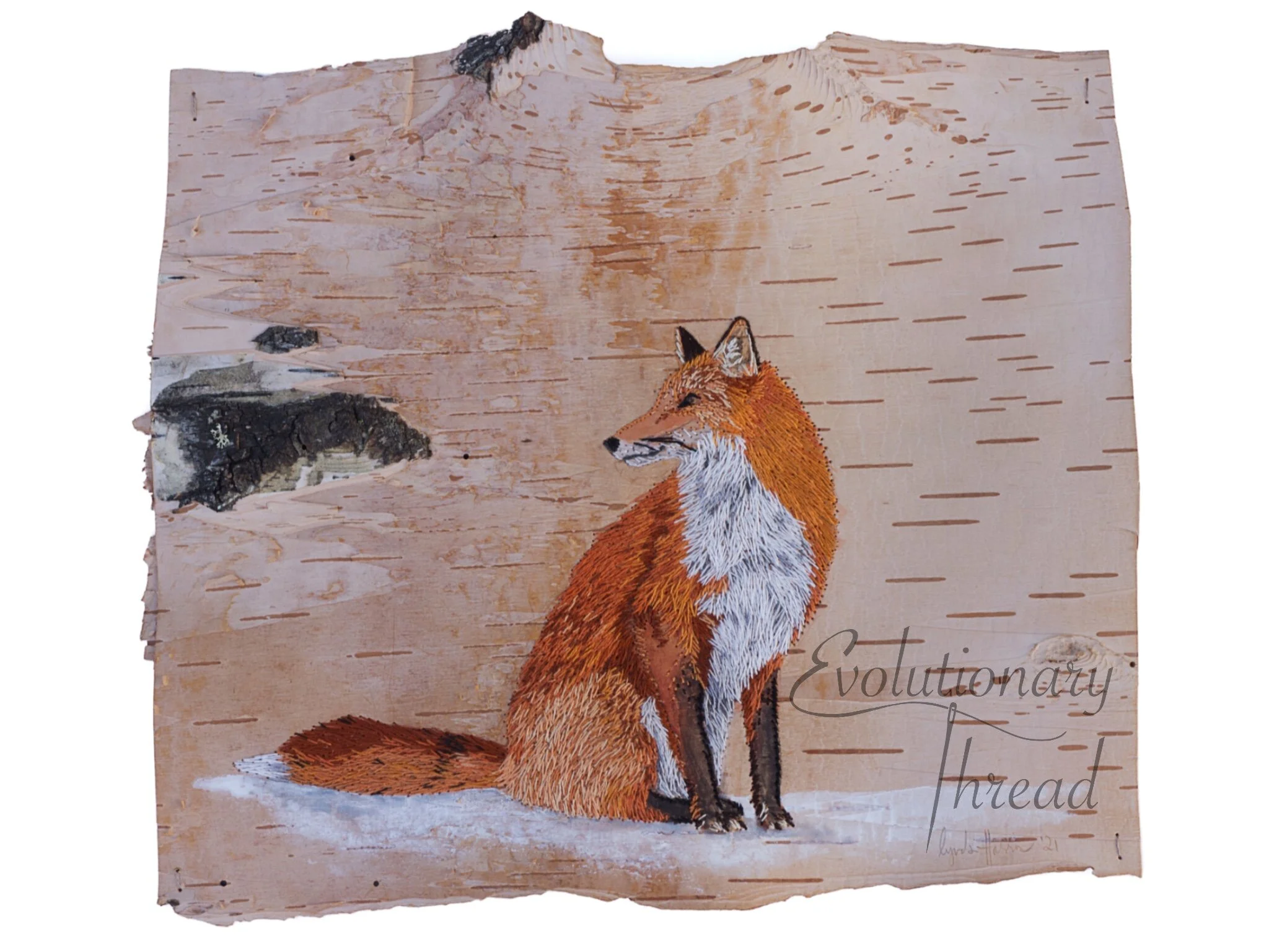 Butter Thief - Red Fox - Fine Art Print