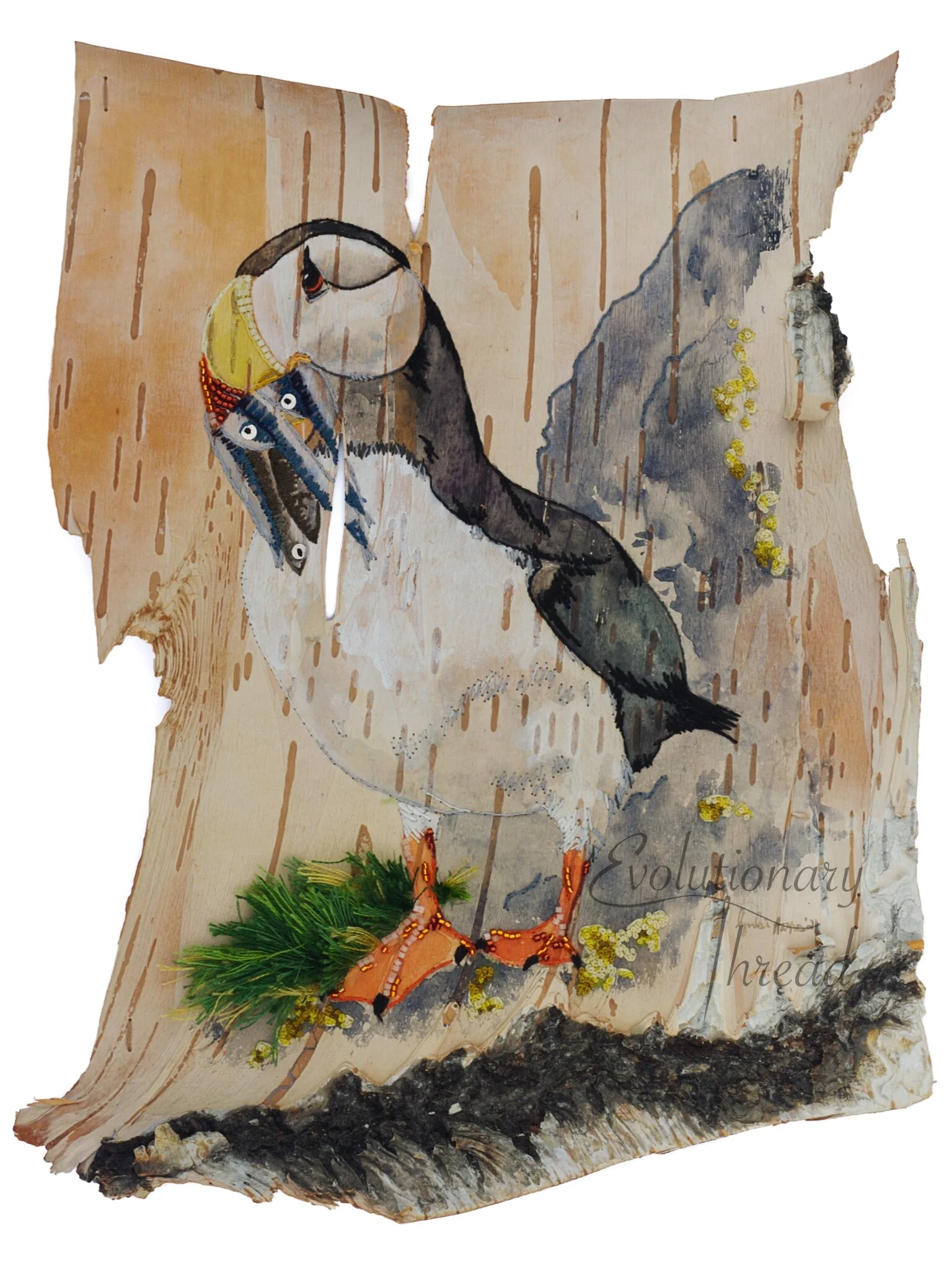 Qagida - Horned Puffin - Fine Art Print