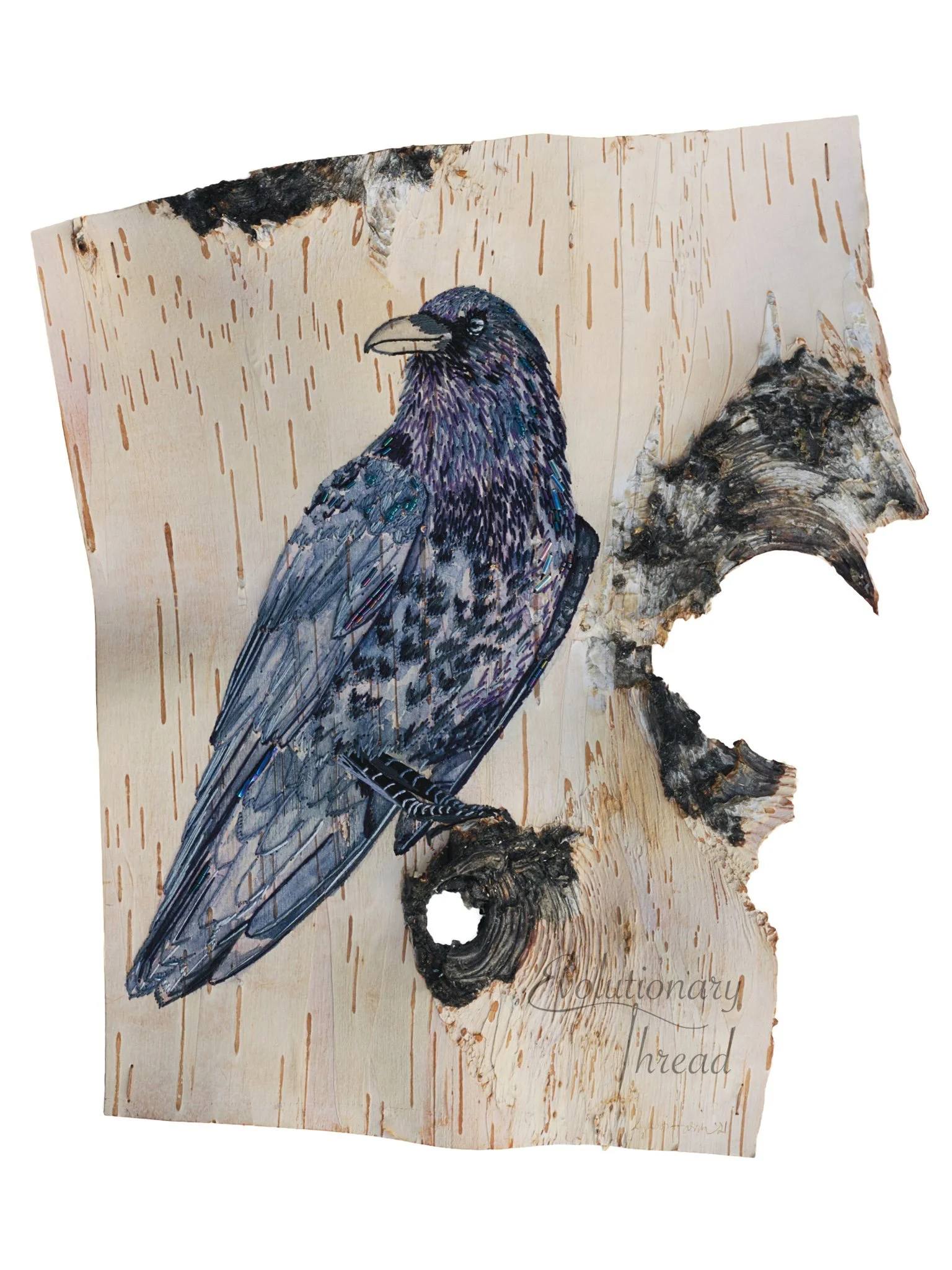 The Lightbringer - Common Raven - Fine Art Print