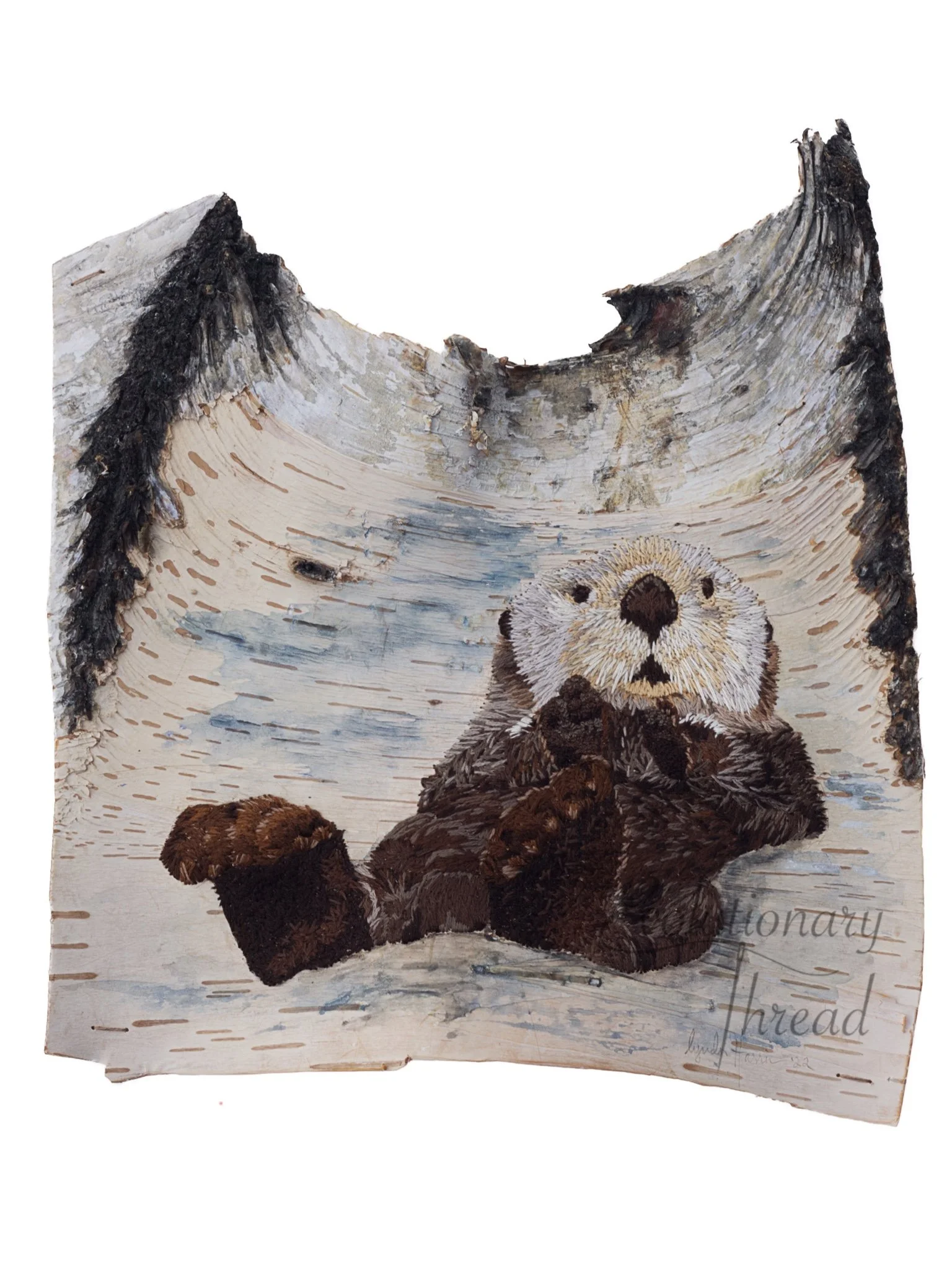 Dobhar-chu - Sea Otter - Fine Art Print