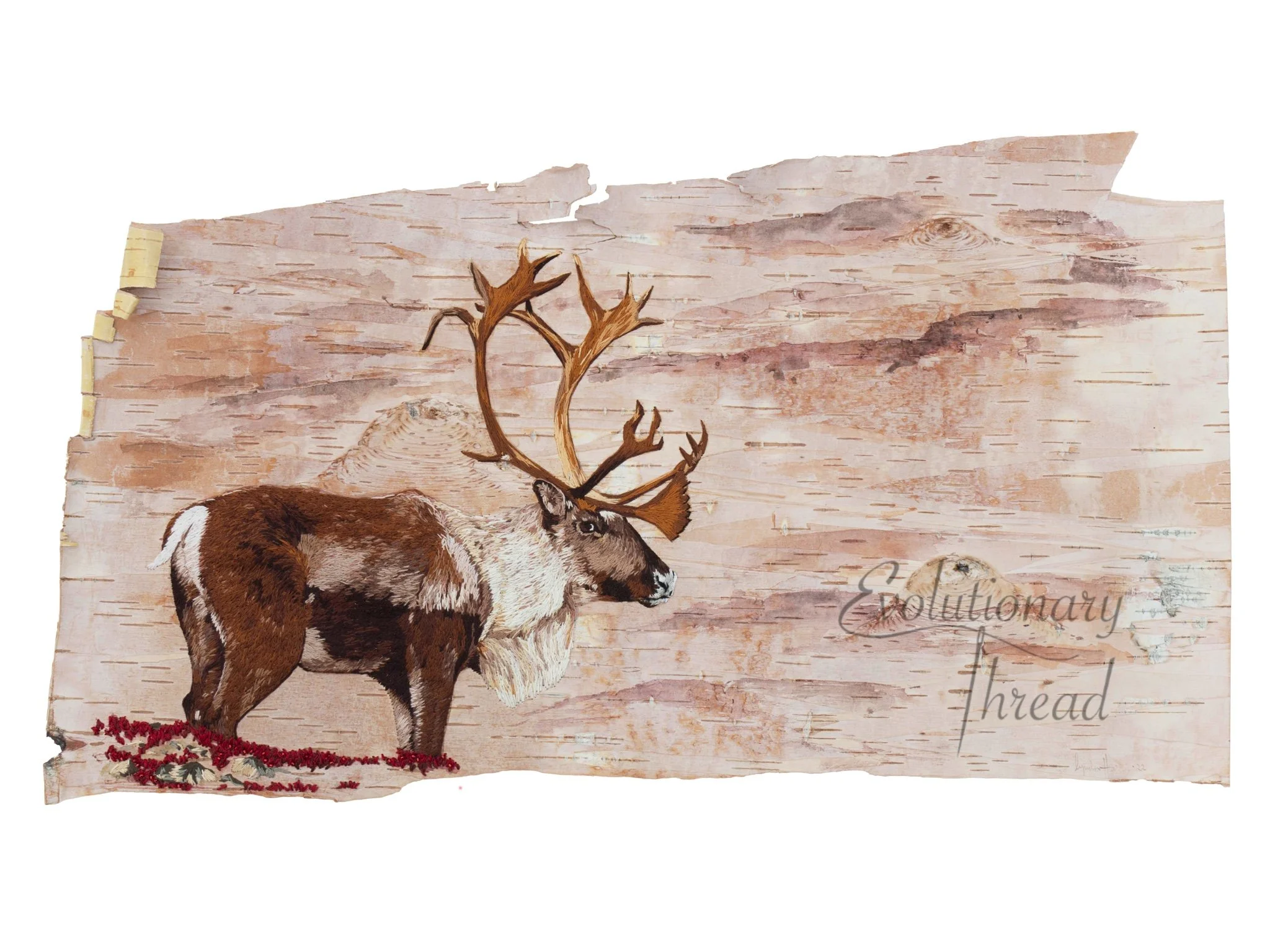 Silence in Solitude - Caribou - Fine Art Print
