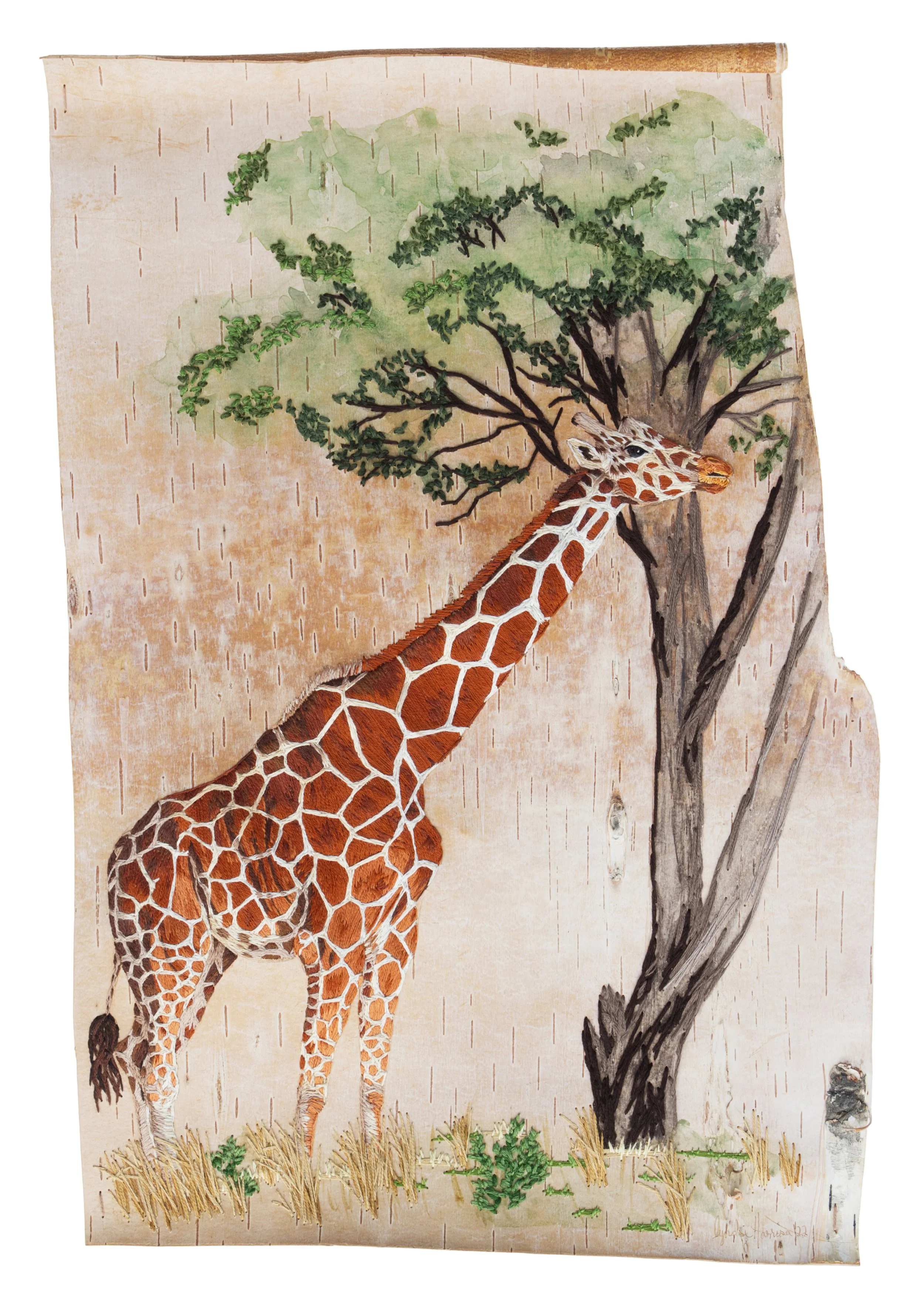 Twiga walinzi - Reticulated Giraffe - Fine Art Print