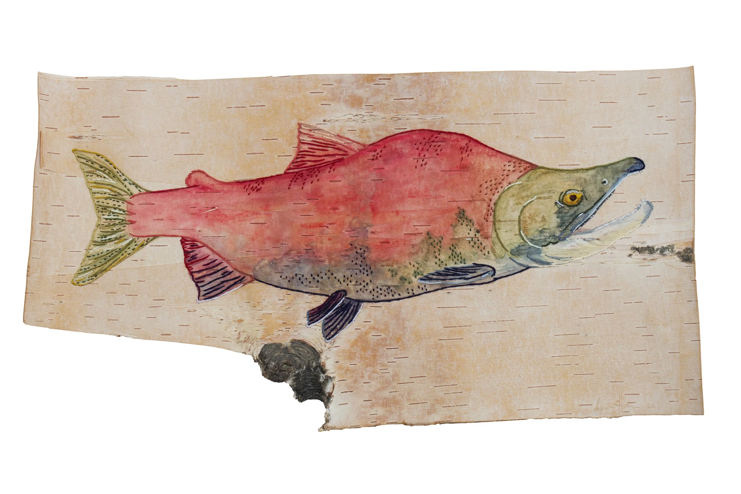 Niklliq - Sockeye Salmon - Fine Art Print