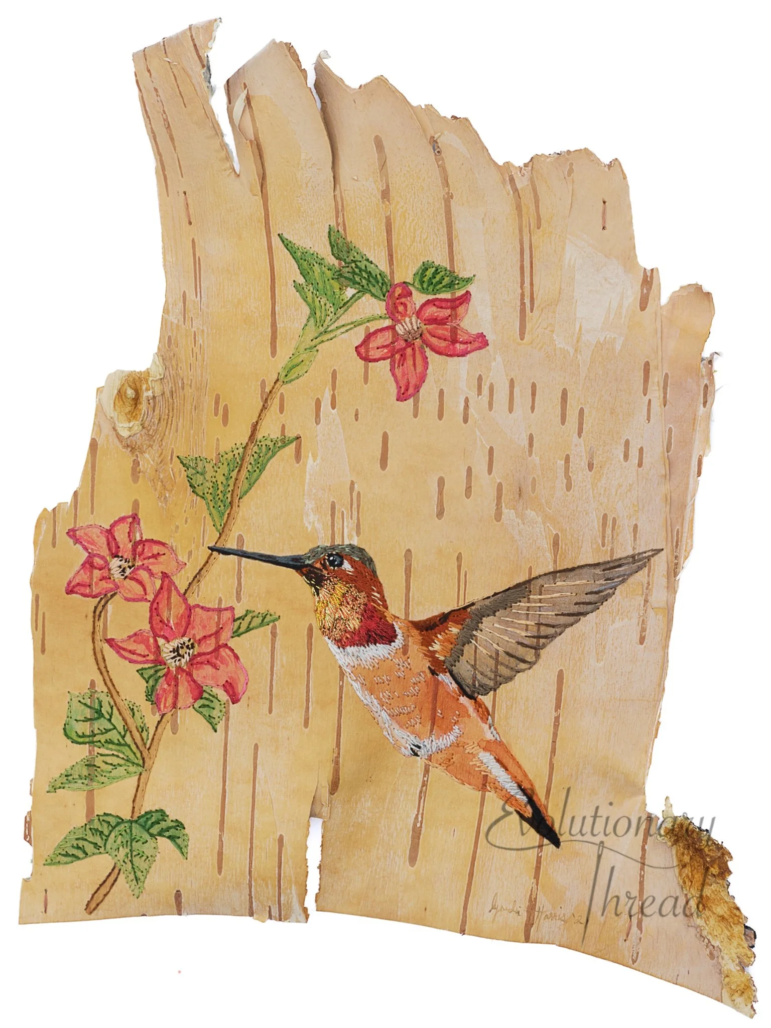 The Messenger - Rufous Hummingbird - Fine Art Print