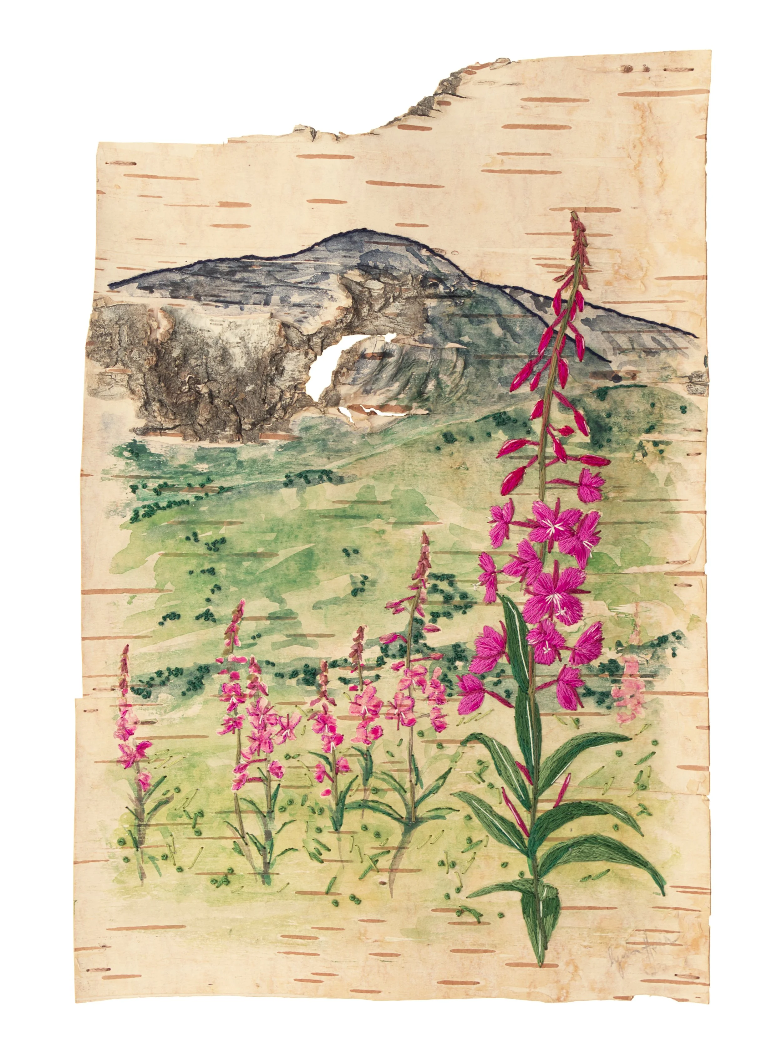Fireweed Glows - Fine Art Print