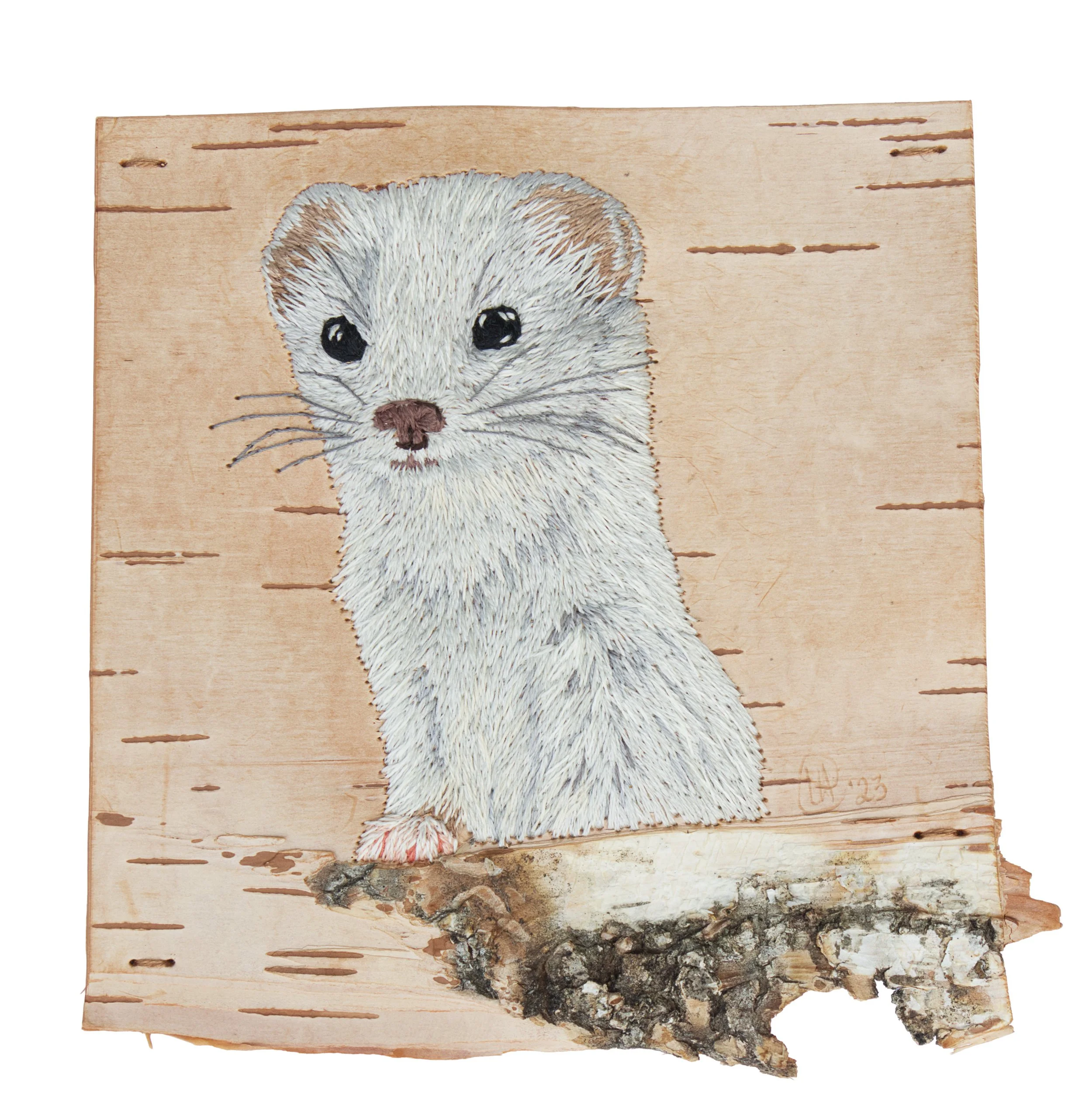 Mustela nivalis - Fine Art Print