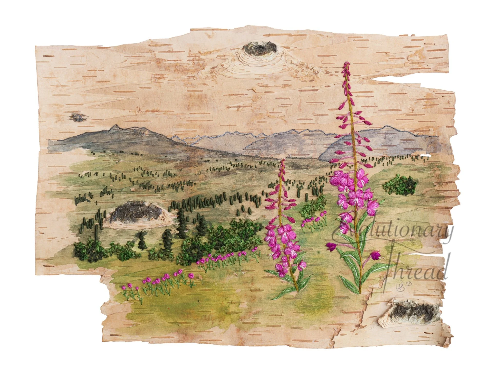 Fire on the Mountain - Fine Art Print