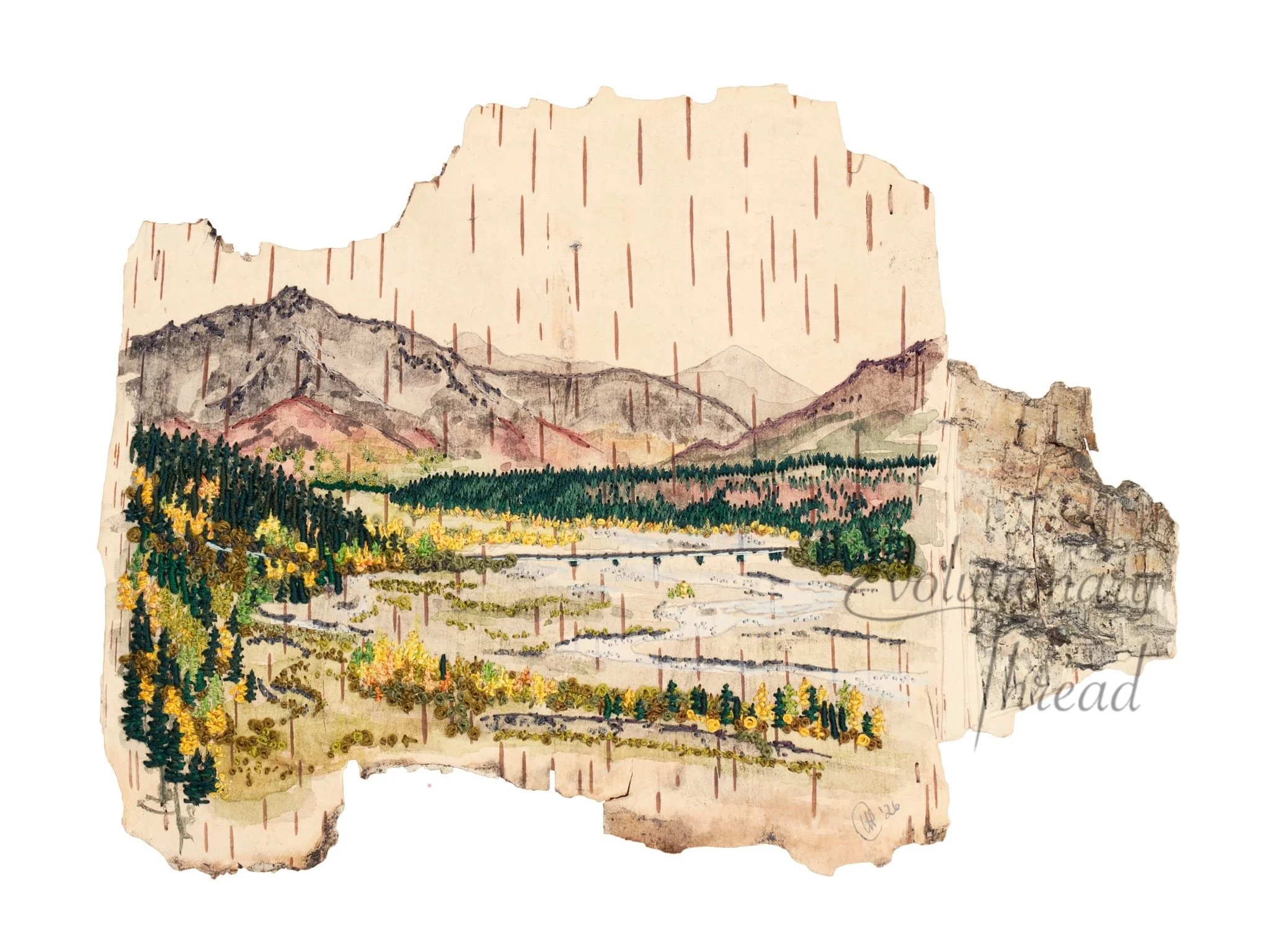 Mile 30: Teklanika River - Fine Art Print