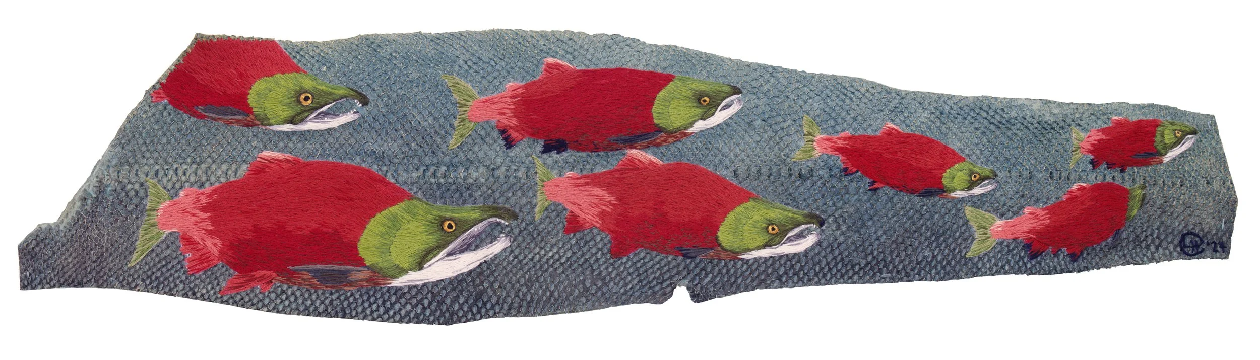 Upstream - Sockeye Salmon - Fine Art Print